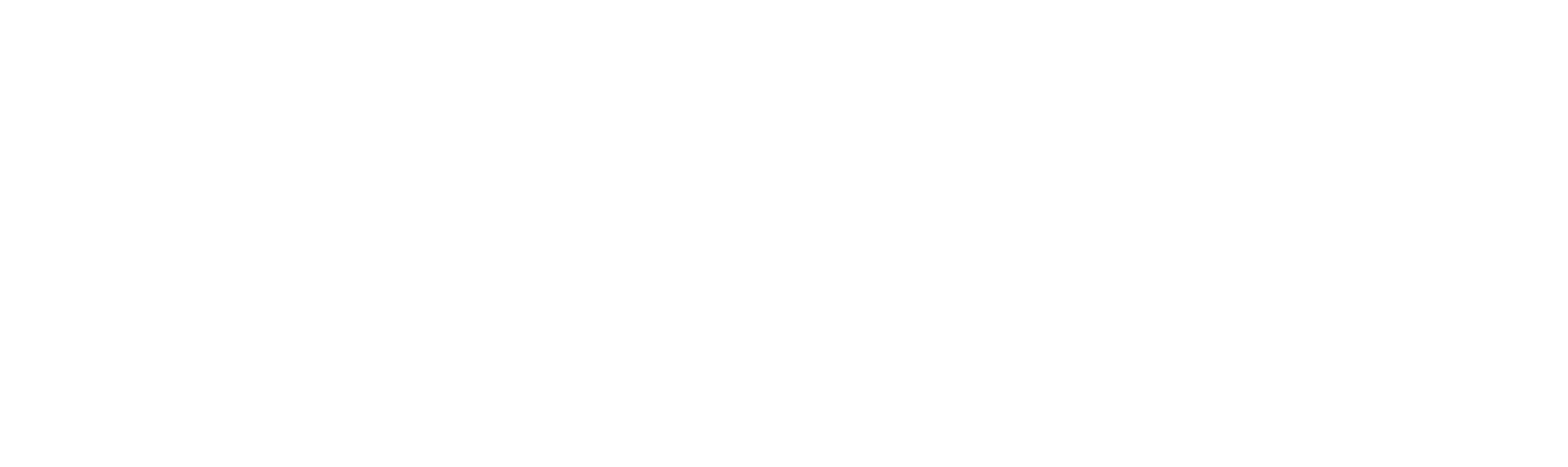 EVANS-DRUMHEADS-MasterLogo-White.png