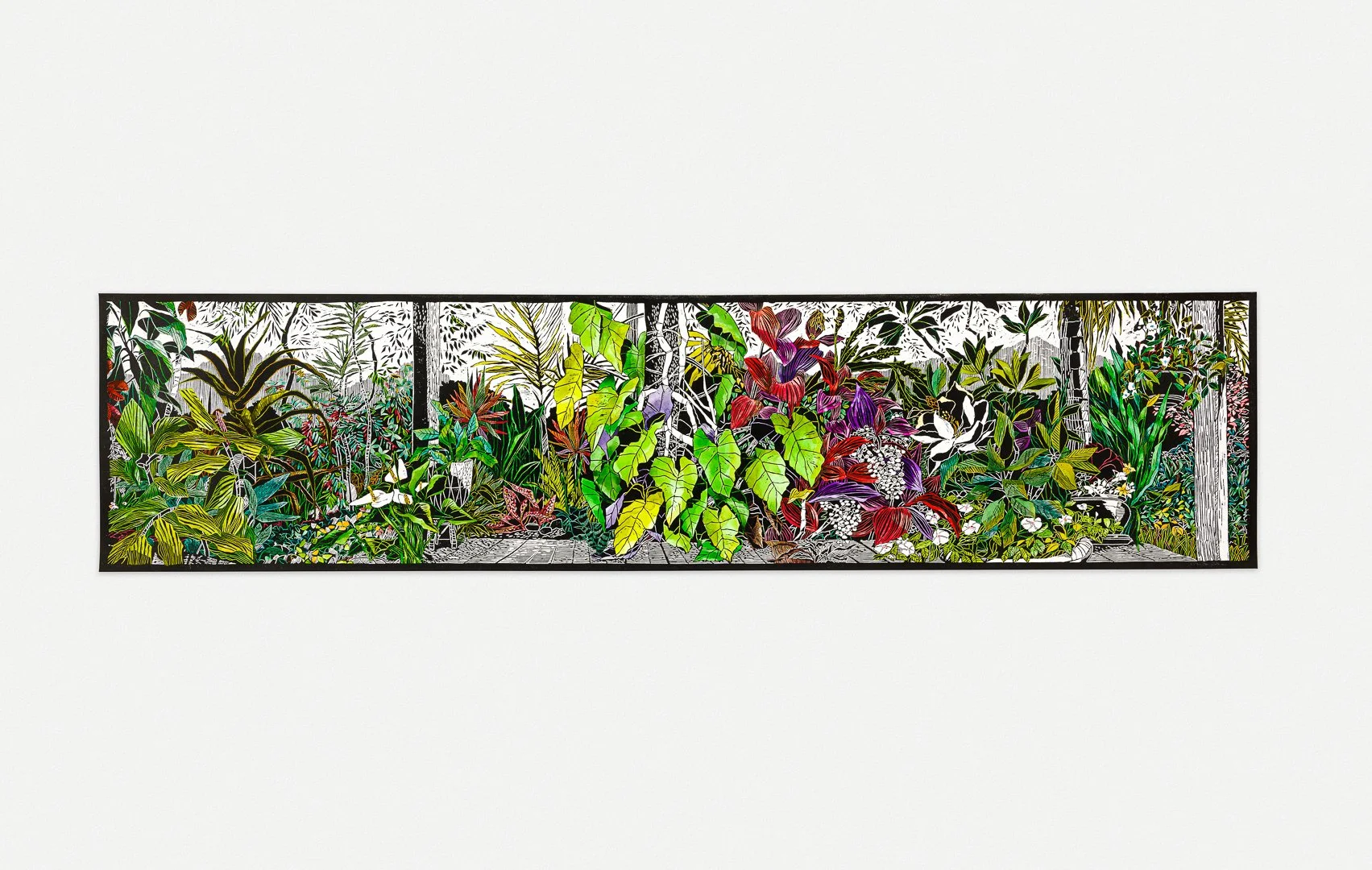 CDP_Back in the rainforest 2024-web.jpg