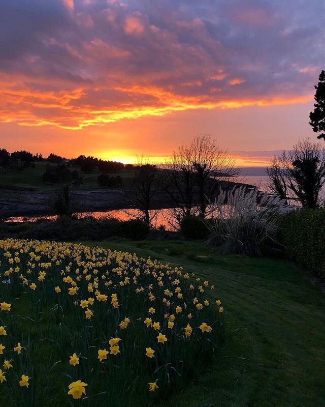 I was raised in an extraordinarily beautiful country. This is probably the most stunning picture I&rsquo;ve ever captured here, Spring before last.

N.Ireland isn&rsquo;t without it&rsquo;s flaws though. A land forcefully taken from others leaving th