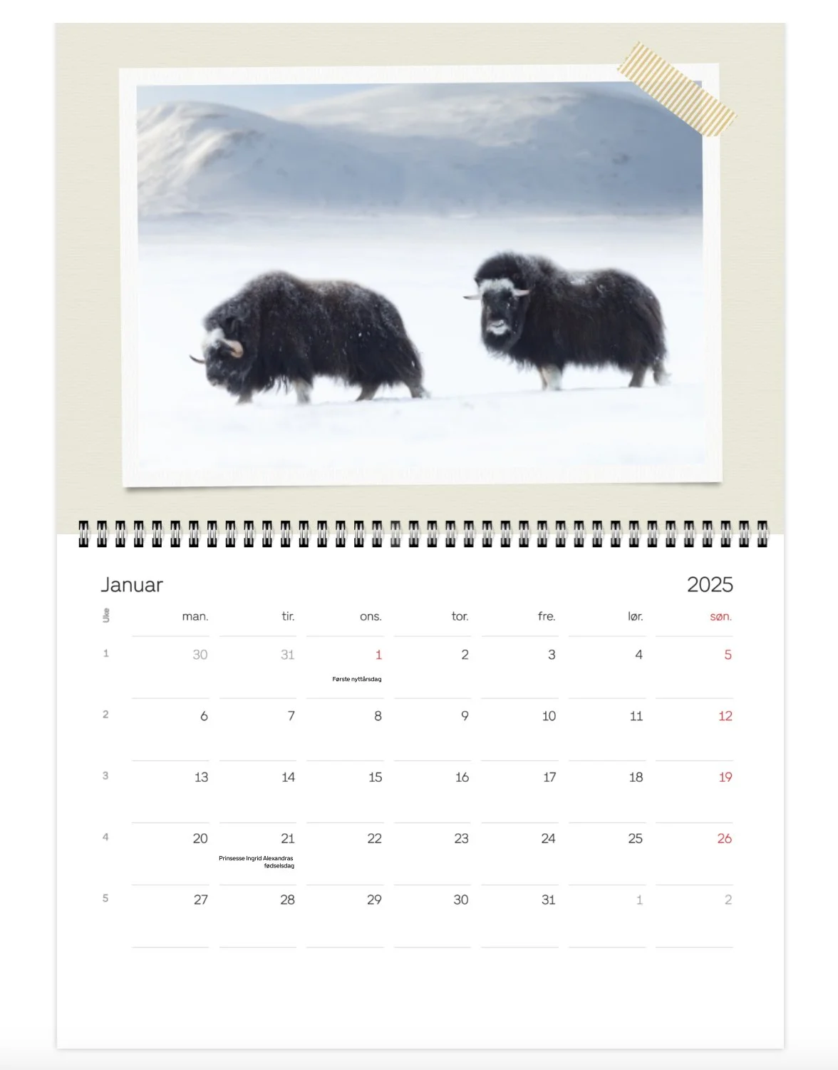 Kalender-web-fauna-3-kl.-16.29.19.jpg