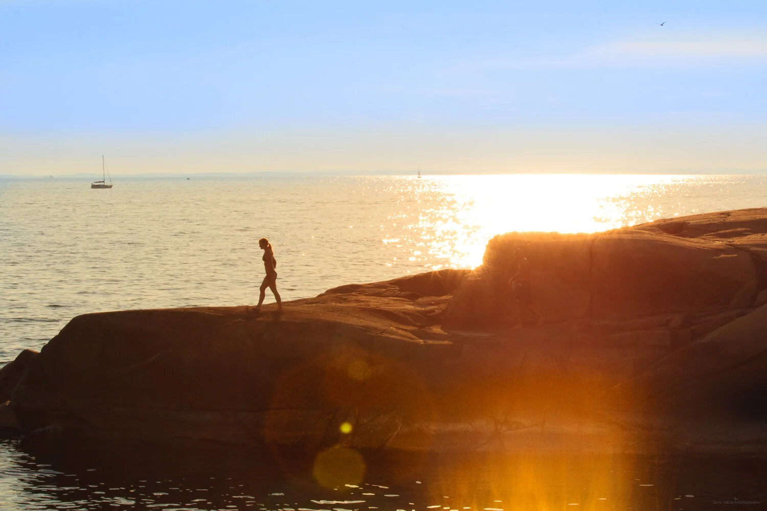 image-asset (39).jpeg