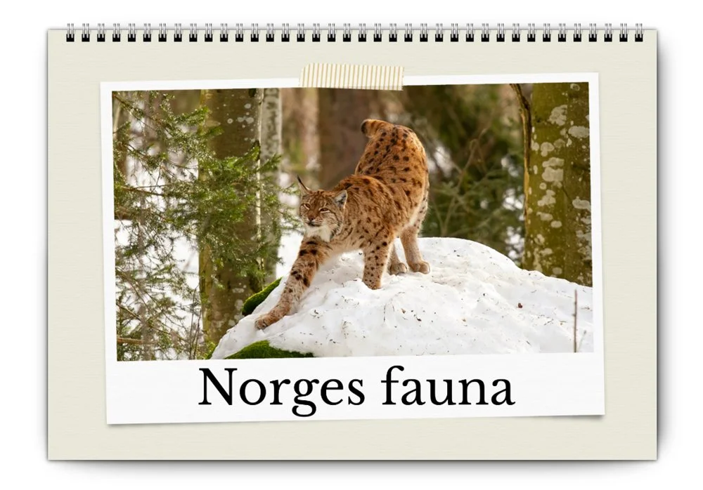 Norges fauna 2026