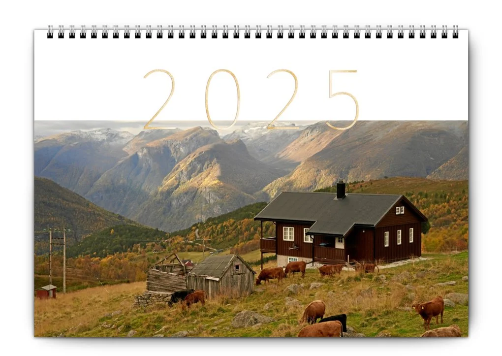 Aurland-web-kl.-10.43.12.jpg