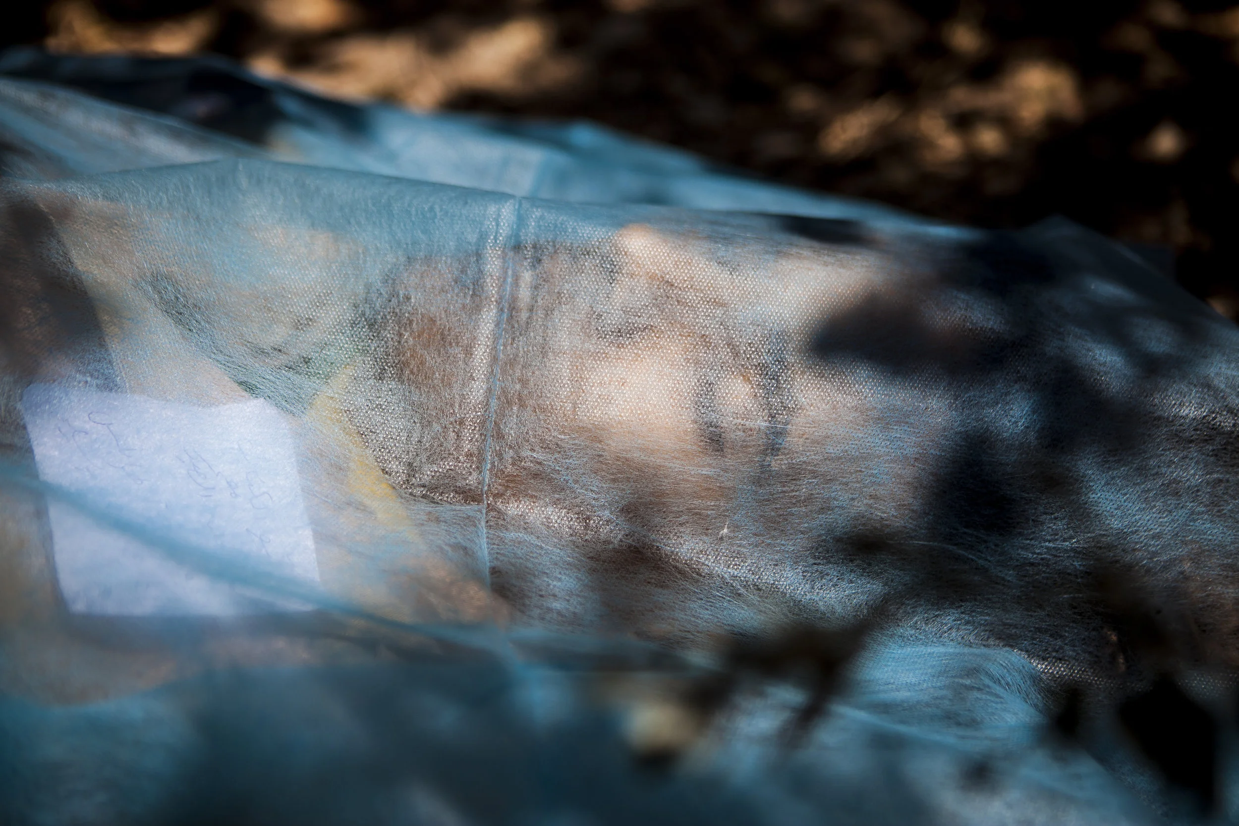  8/17/2011 Zawiya, Libya  A dead pro-Qaddafi fighter lay beneath a medical shroud in an orchard next to a makeshift clinic near the rebel frontline in Zawiya, Libya, as rebels continued their push towards the Libyan capital, Tripoli.    