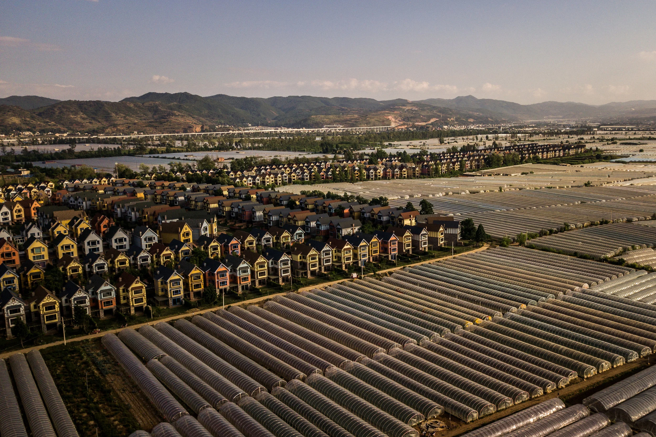  5/16/2018 Songming, Yunnan Province, China  Greenhouses filled with Shanghai bok choy and yellow cabbage abutted newly built investment properties and golf courses in the growing suburbs of Kunming City. 