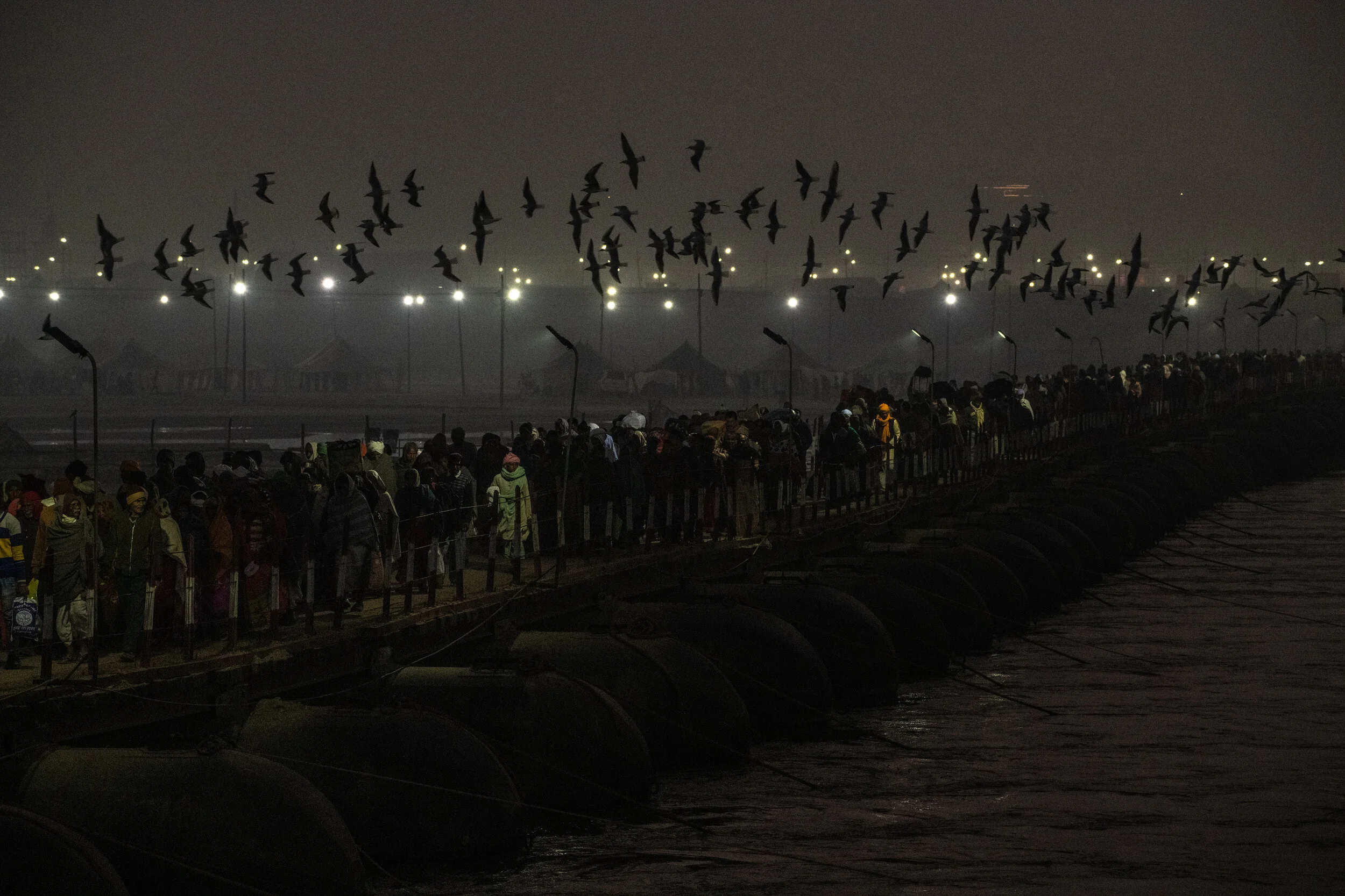  2/3/2019 Prayagraj, Uttar Pradesh, India  Migratory birds flew over one of the many pontoon bridges, packed with Hindu Pilgrims, in the early morning light. The bridges are constructed temporarily to accommodate the millions of pilgrims that commute