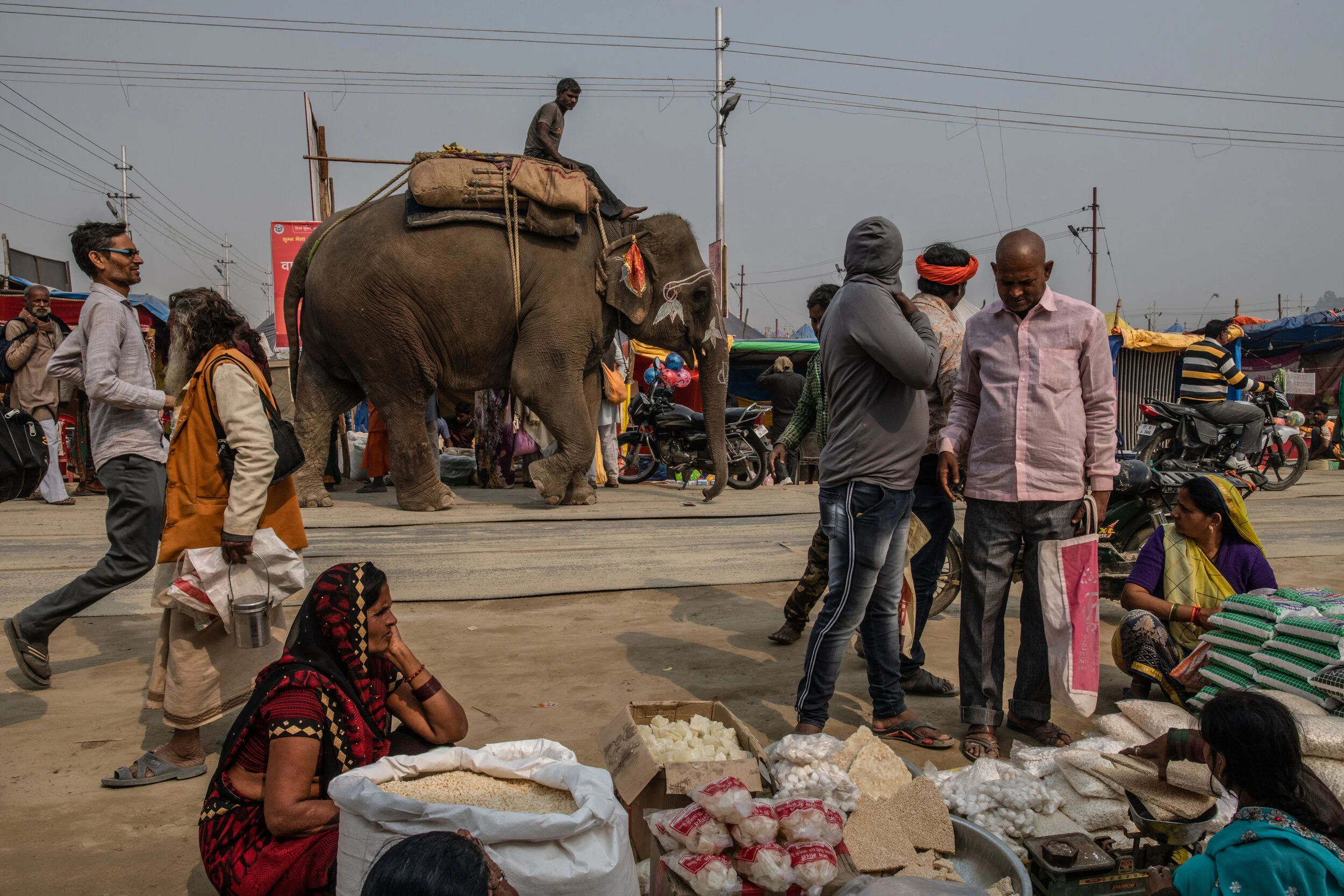  2/5/2019 Prayagraj, Uttar Pradesh, India  Pilgrims shopped at roadside stalls as an elephant collected and passed up alms for his Mahout (elephant driver), as it walked through the streets of the Kumbh Nagari—the temporary city that springs up durin