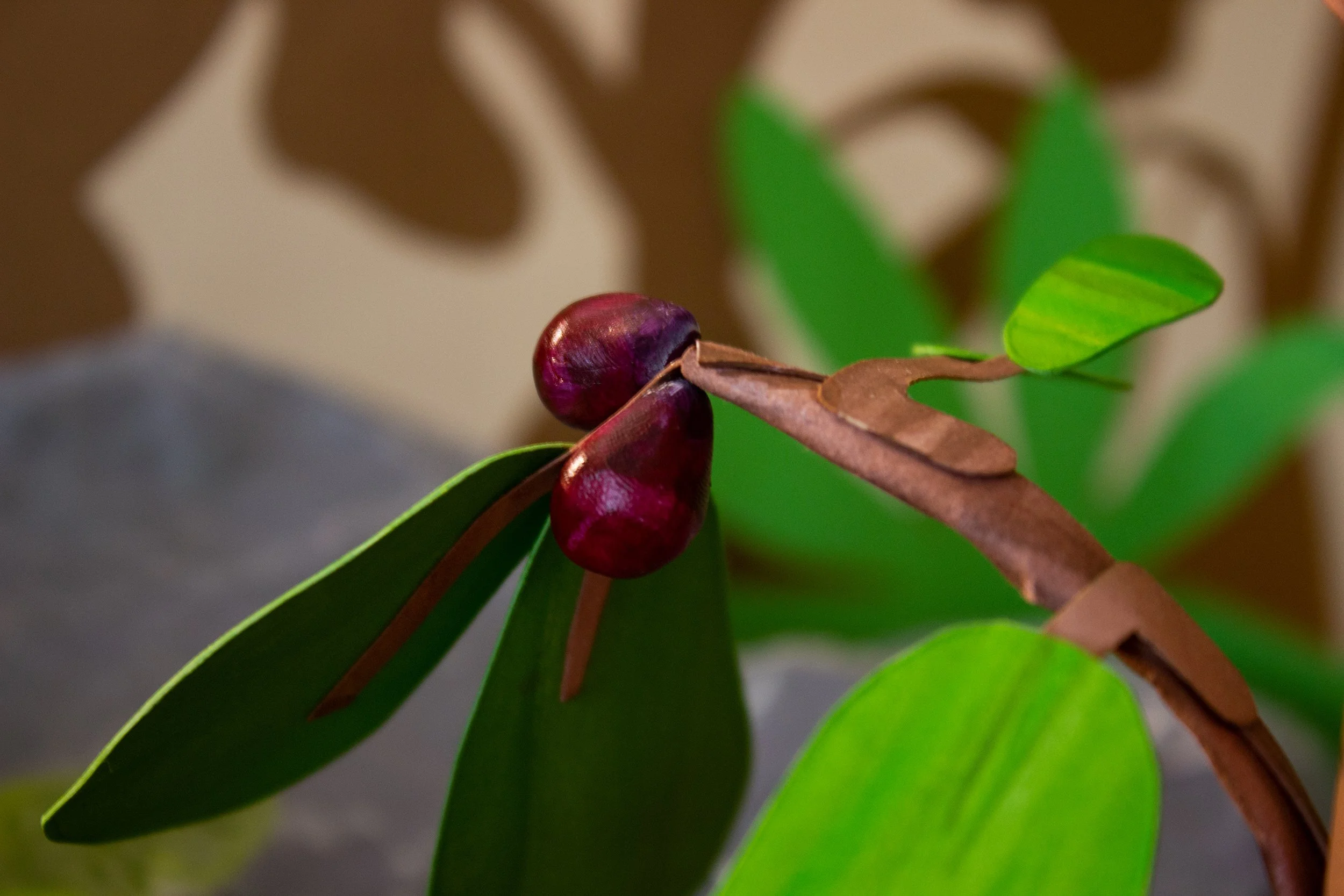 Photos of Final Set-up-14-2.jpg