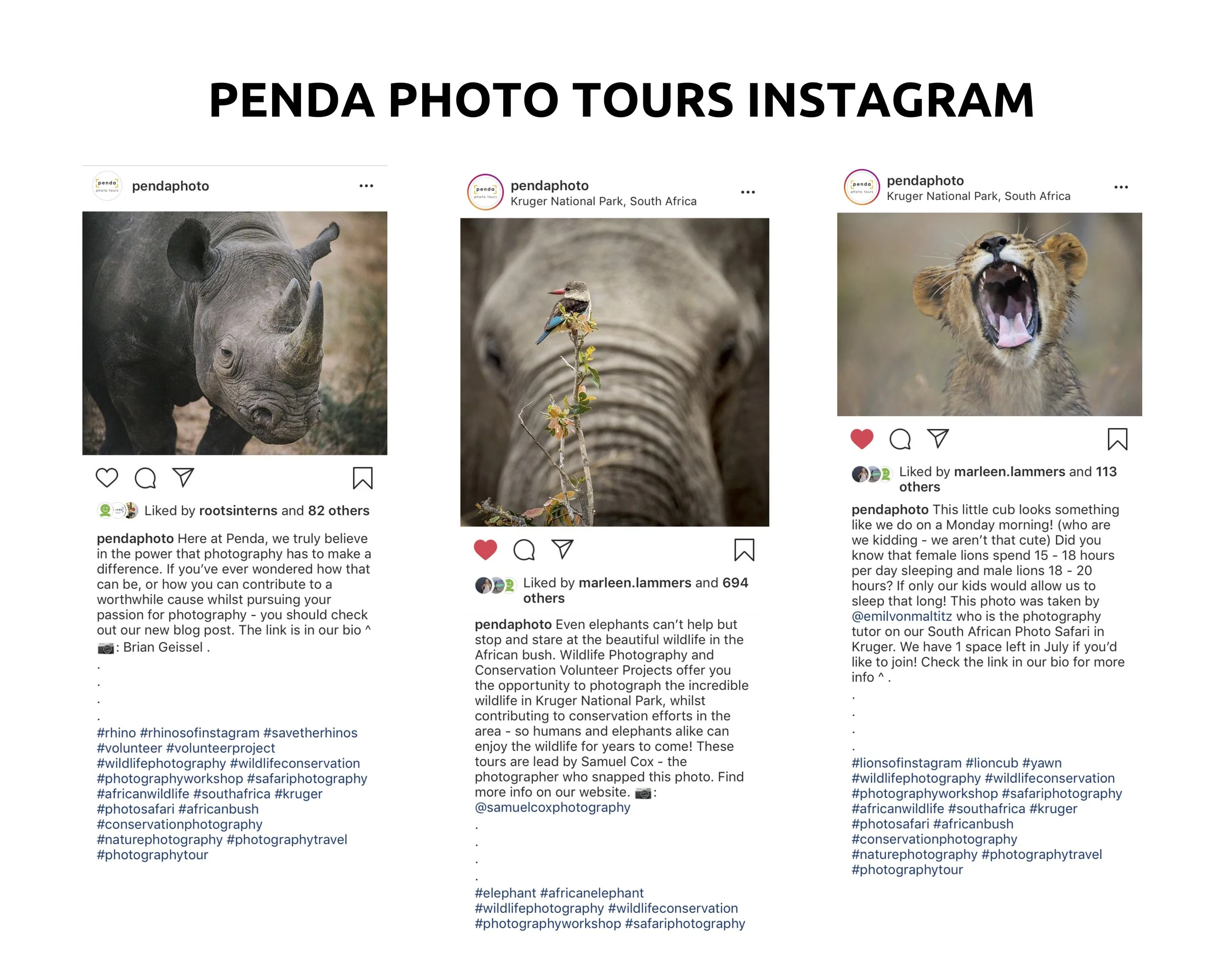 Penda Portfolio 3.jpg