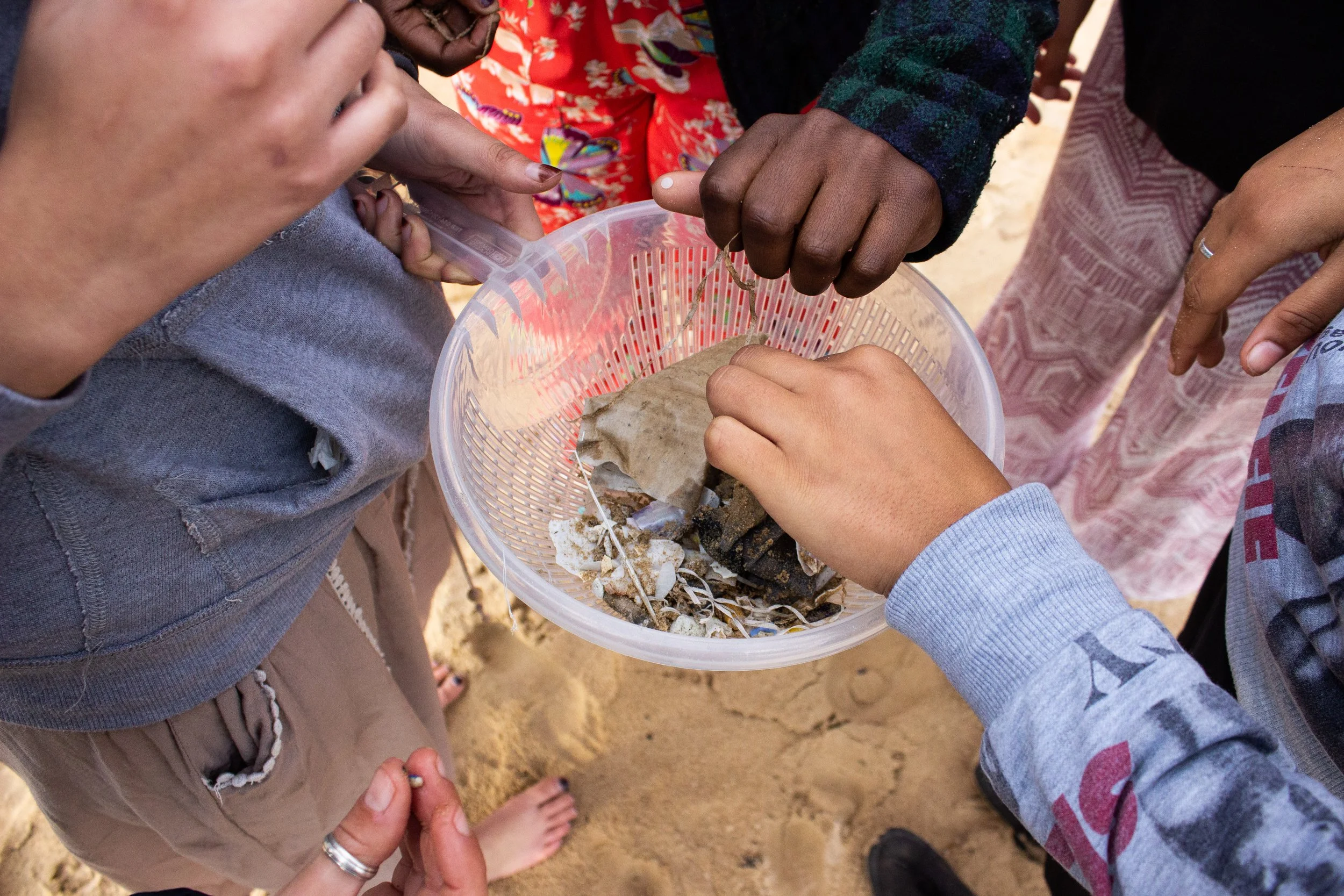 Alice Goodridge Eden FOA 2019 Beach Clean Up Week One_8.jpg