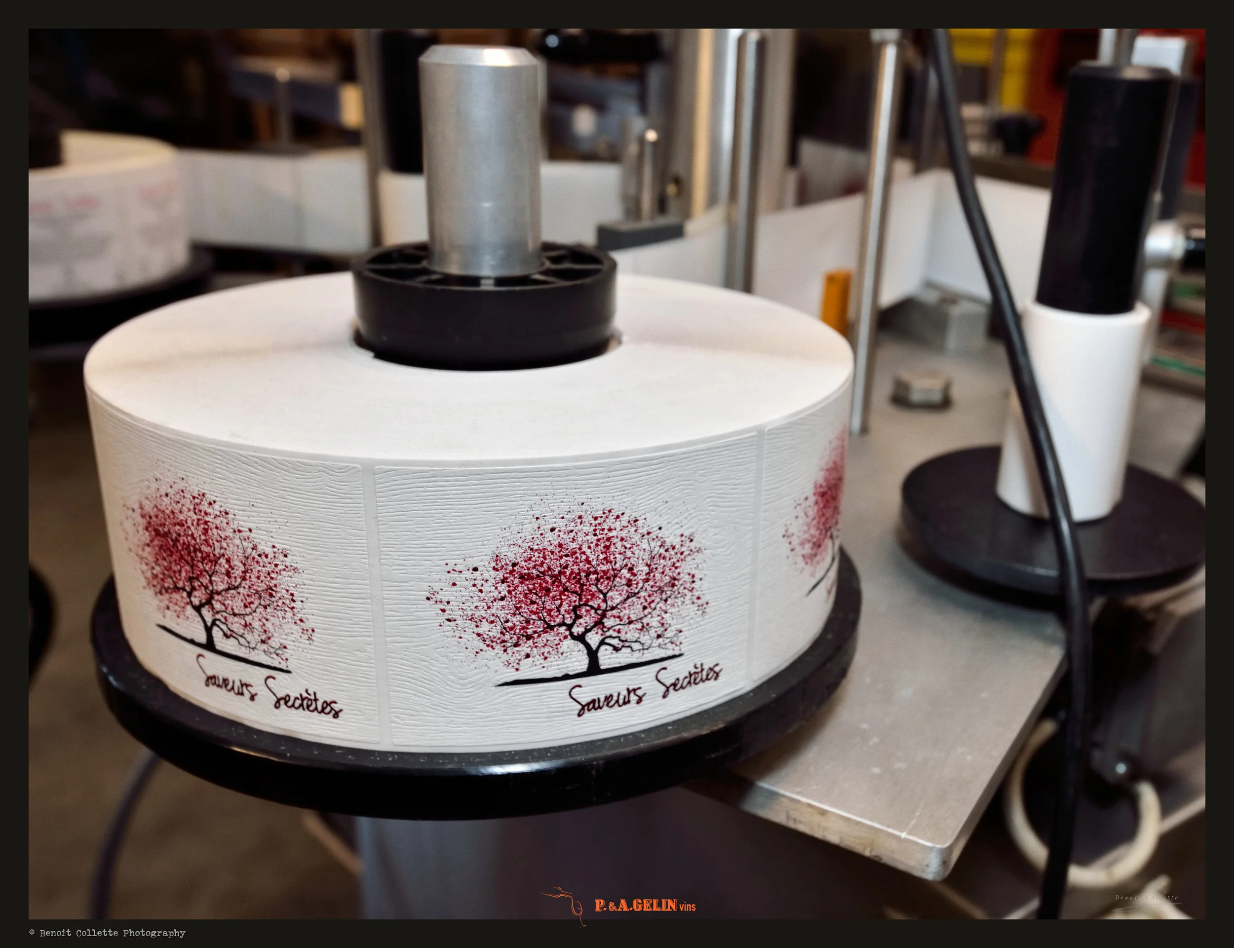 2019-02-25 GELIN - Mise en Bouteilles
J-1 Arriv�e camion - Remplissage des cuves
Wine Celler - Vins & Spiritueux