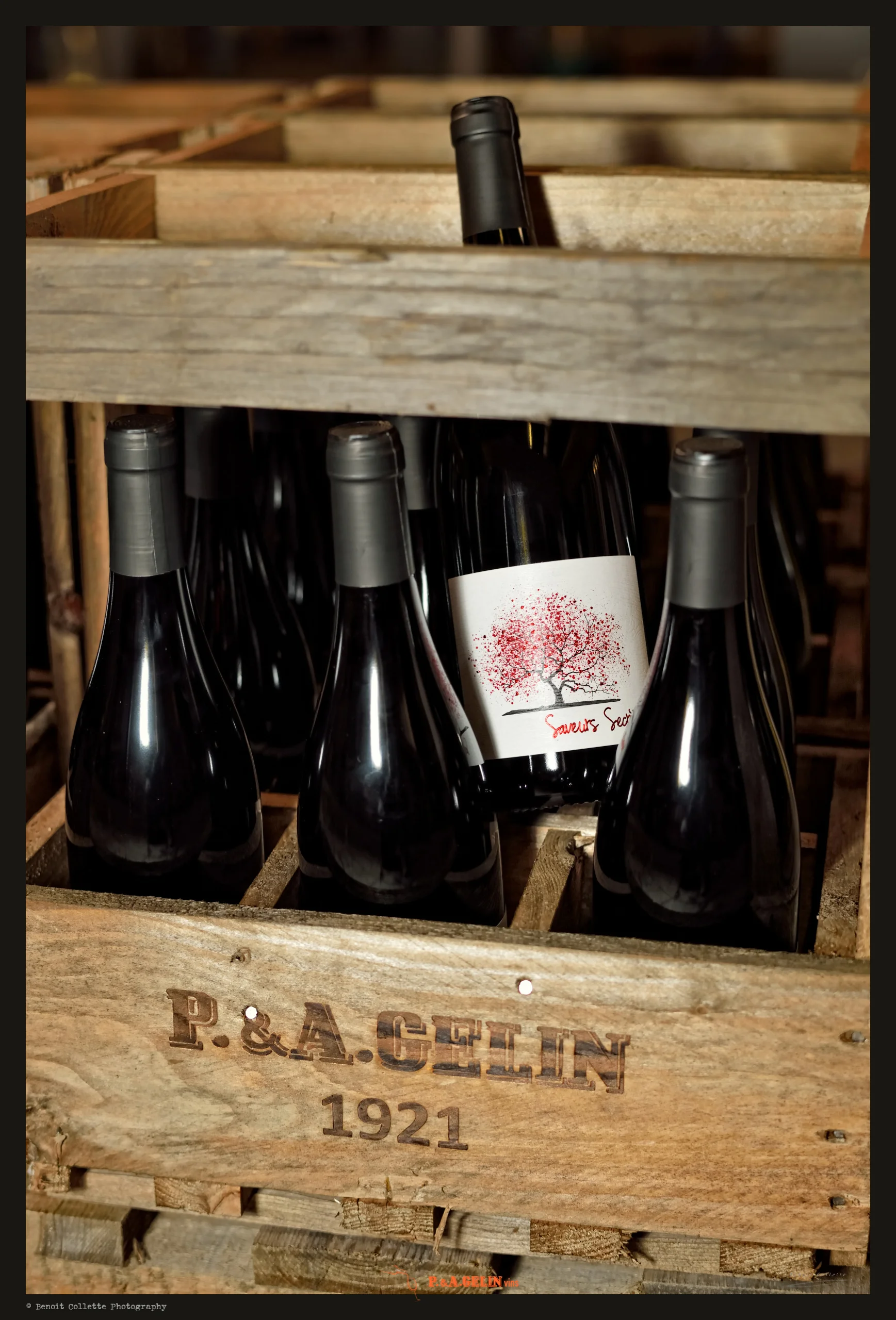 2019-02-26 GELIN - Mise en Bouteilles
J-0 Mise en bouteille - Etiquetage
Wine Celler - Vins & Spiritueux