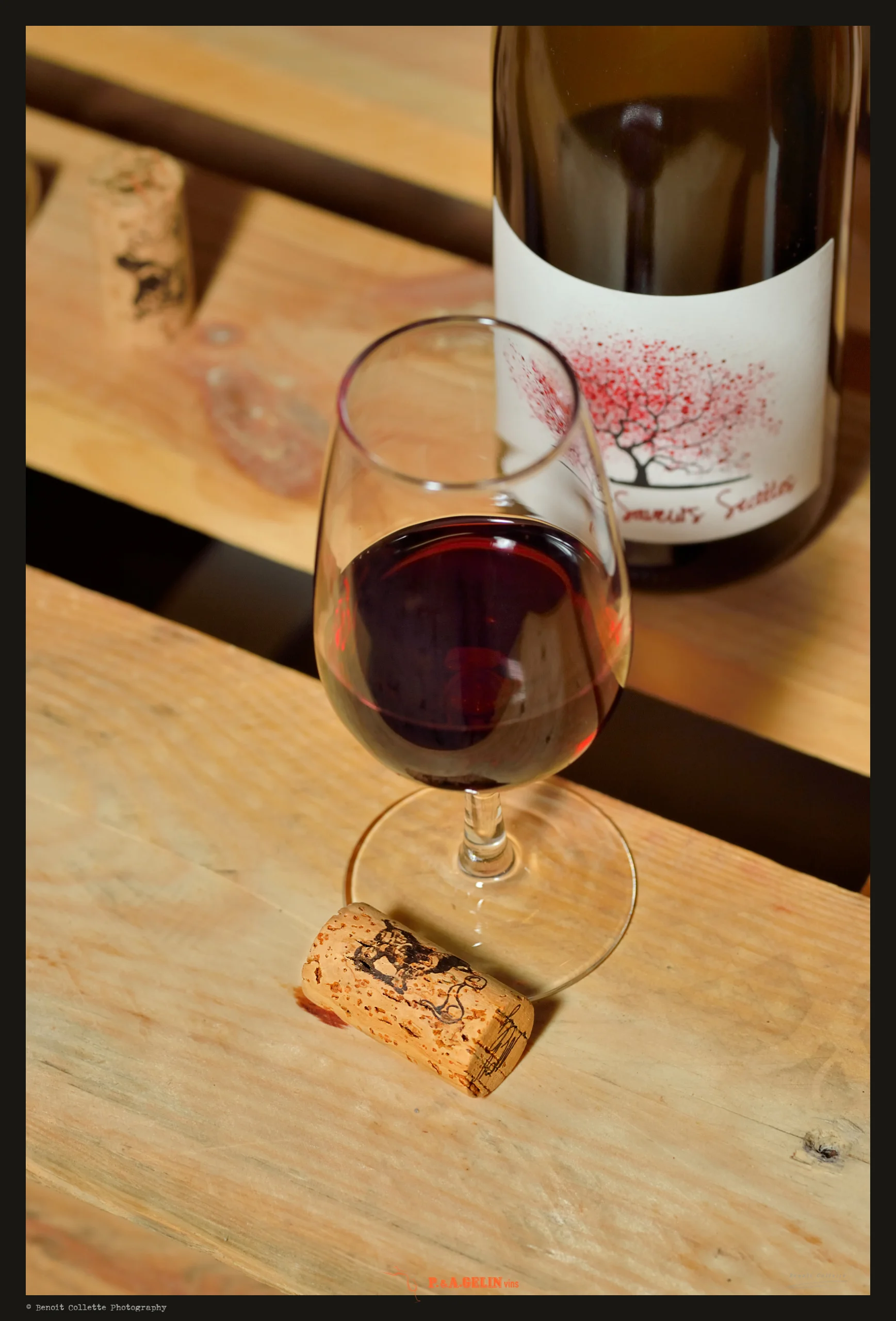 2019-02-26 GELIN - Mise en Bouteilles
J-0 Mise en bouteille - Etiquetage
Wine Celler - Vins & Spiritueux