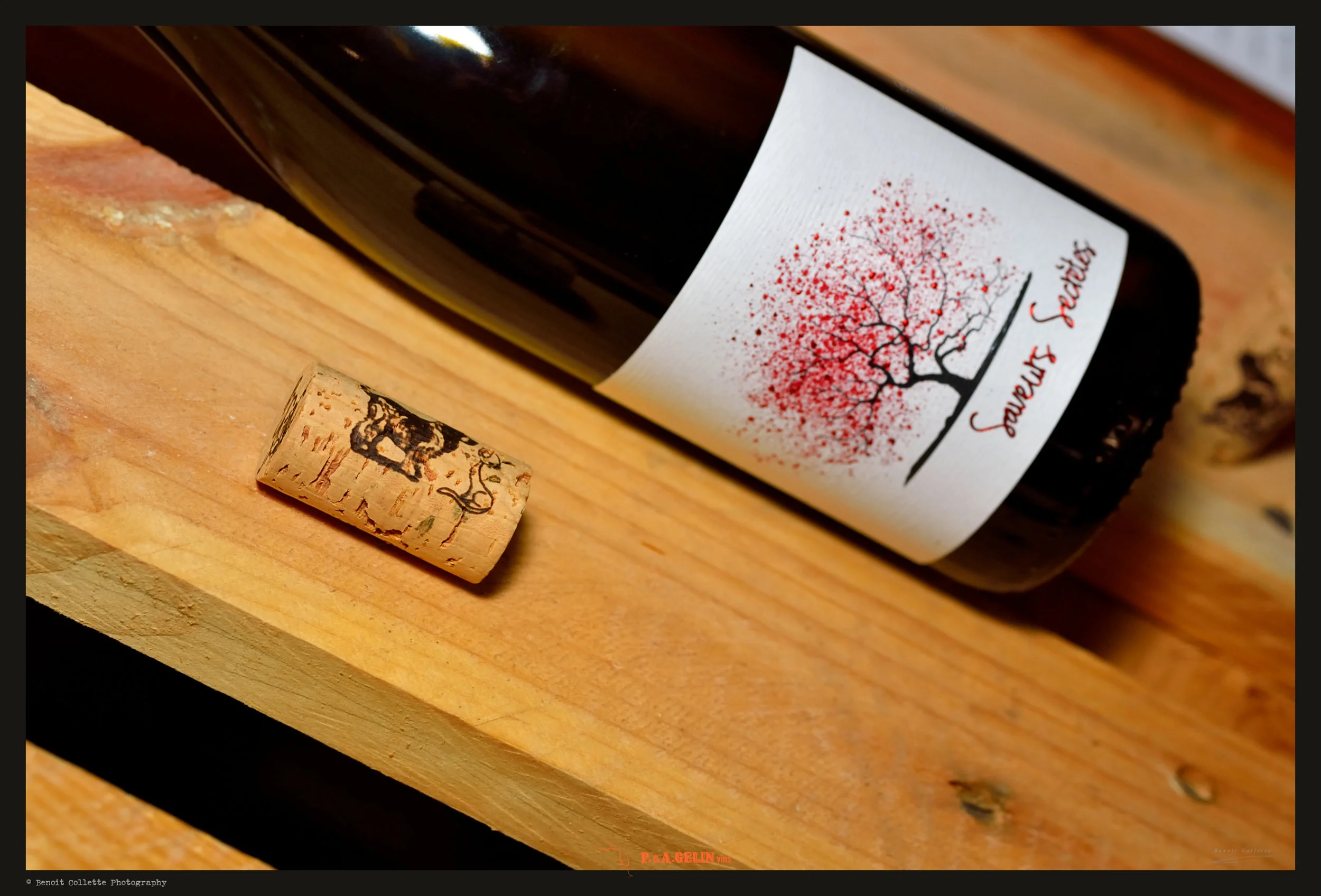 2019-02-26 GELIN - Mise en Bouteilles
J-0 Mise en bouteille - Etiquetage
Wine Celler - Vins & Spiritueux