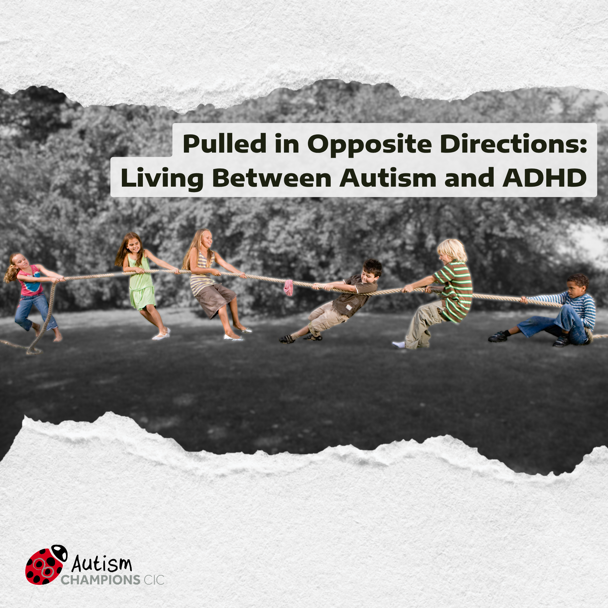Pulled in Opposite Directions: Living Between Autism and ADHD (AuDHD)
