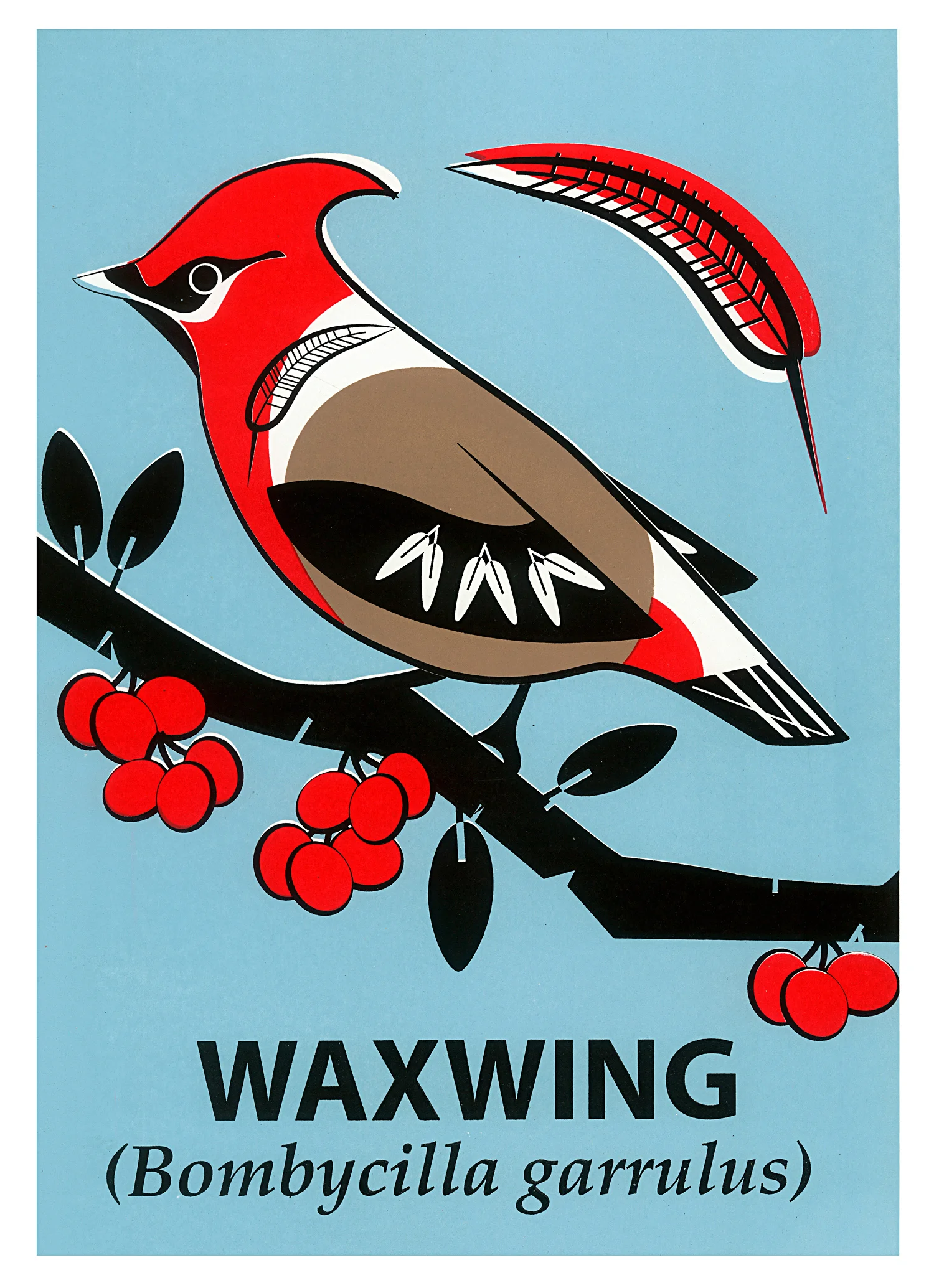 mark-greco-waxwing-screenprint.jpg