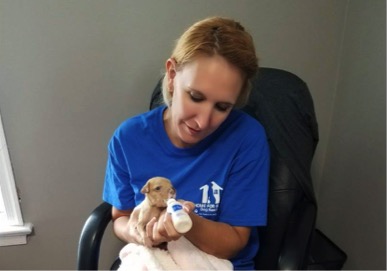 Pall bottle-feeds an underweight puppy she rescued from a high-kill shelter in Georgia. The puppy has since been nursed back to ideal health and was recently adopted by a loving family in Scotch Plains. Credit: Facebook.