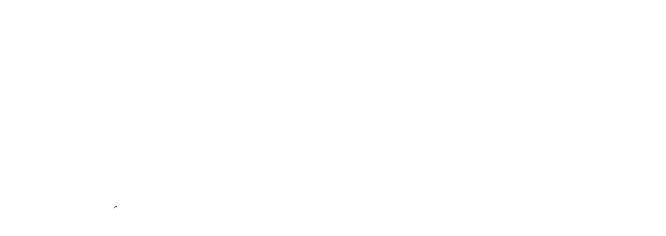 Lerman Productions