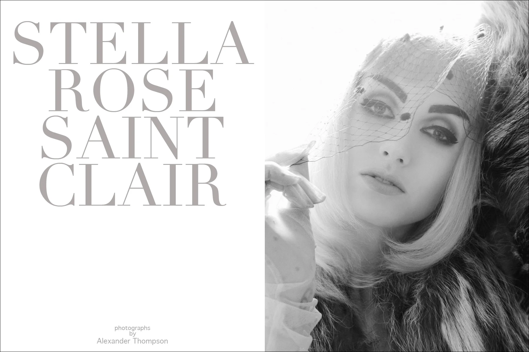 Stella-Veil-Tearsheet.jpg