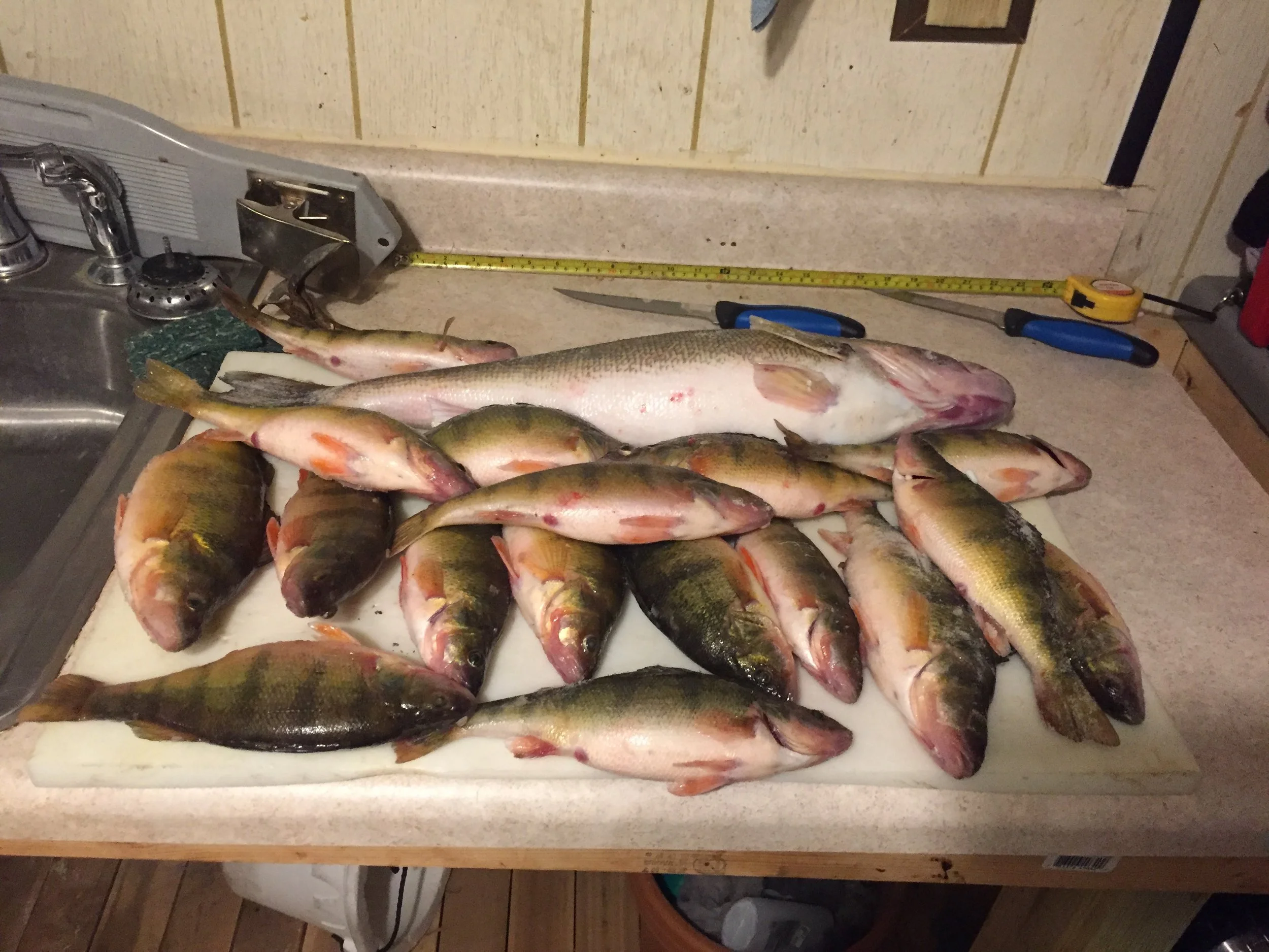 Wintertime and the fishing is easy!