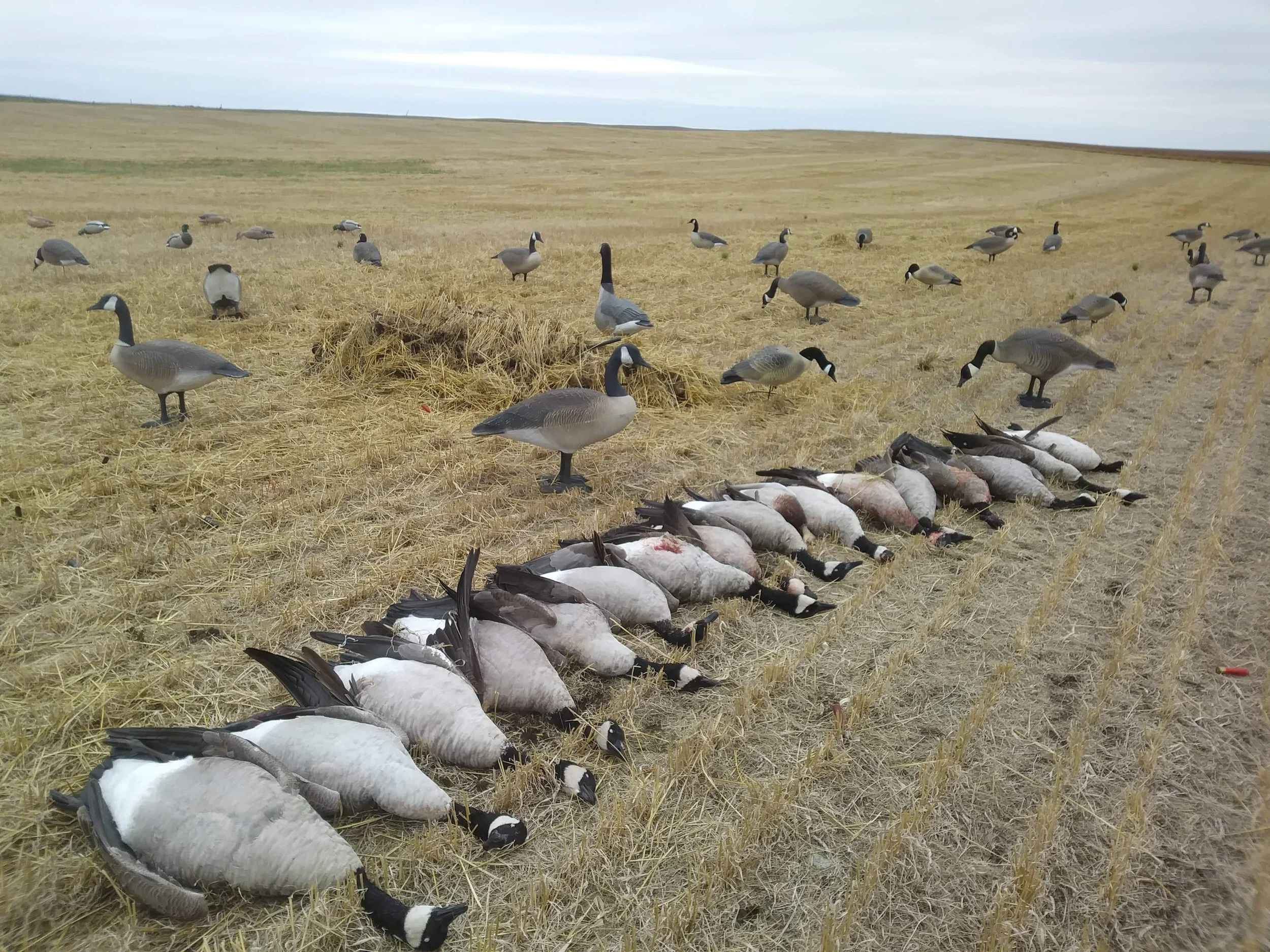 The bounty of the season