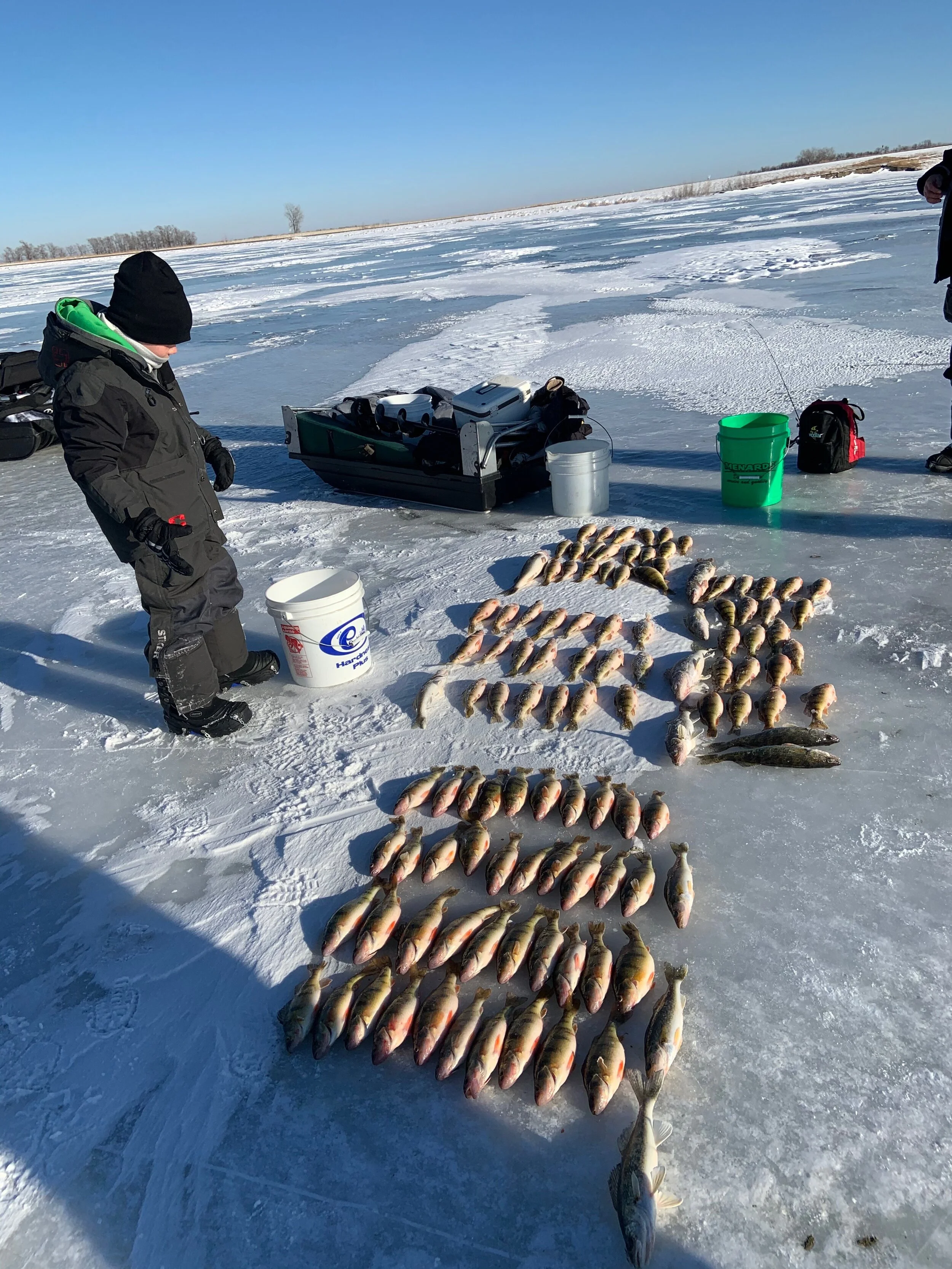 Get your ducks—um, fish!—in a row