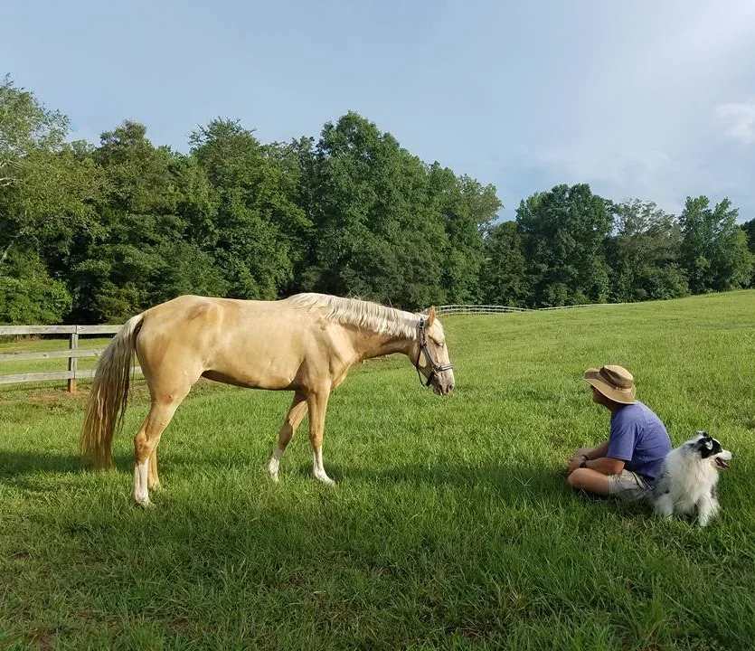 Saving one horse won't change the world, but it will change the world for that one horse, and the individual that one horse interacts with.