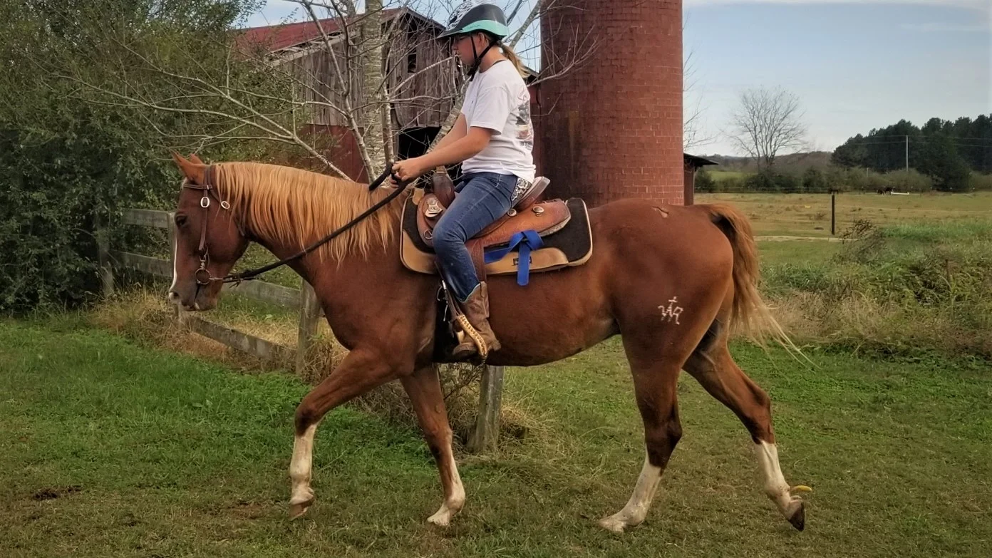 Cowboy.jpg