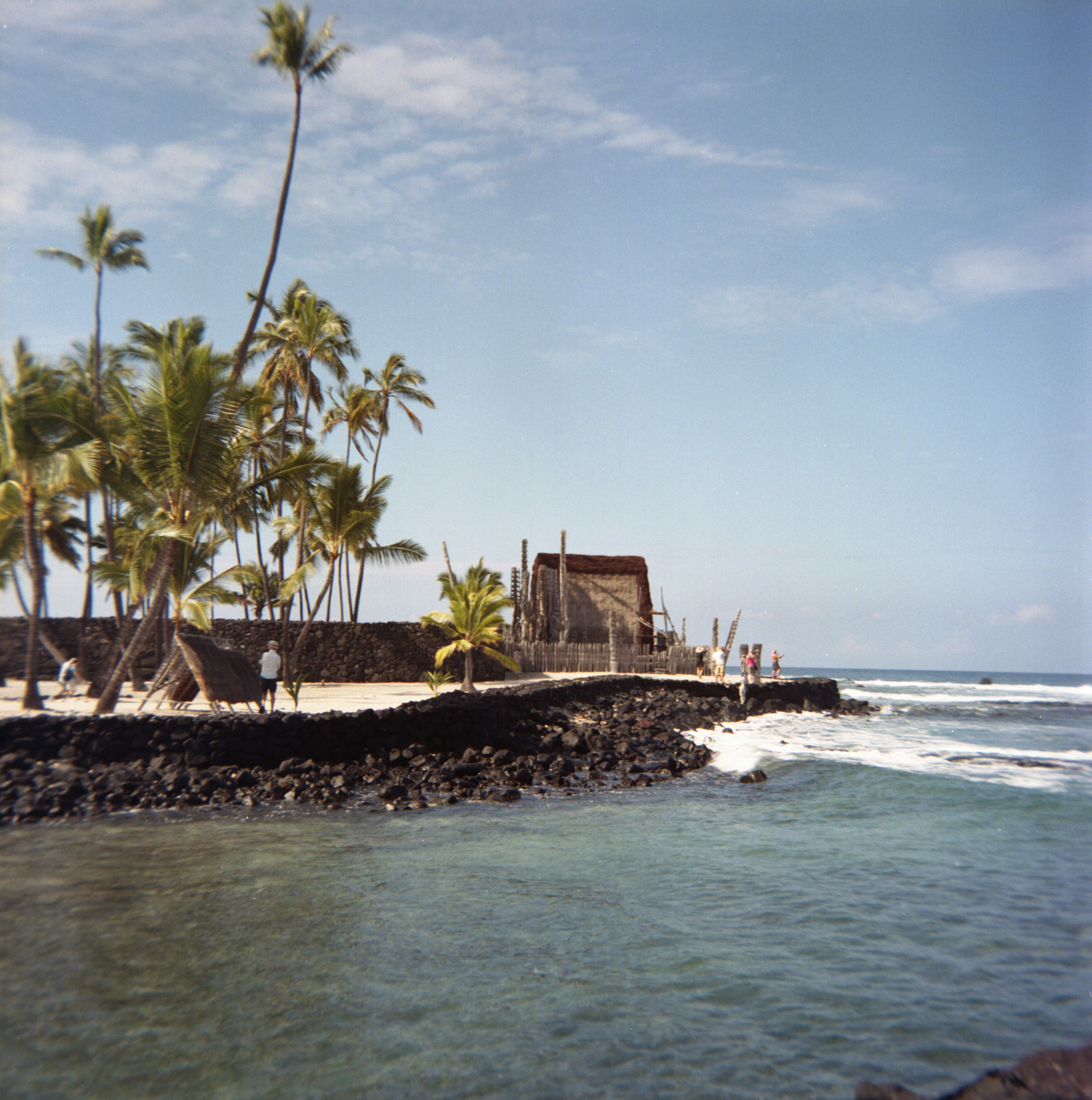 img004.jpg