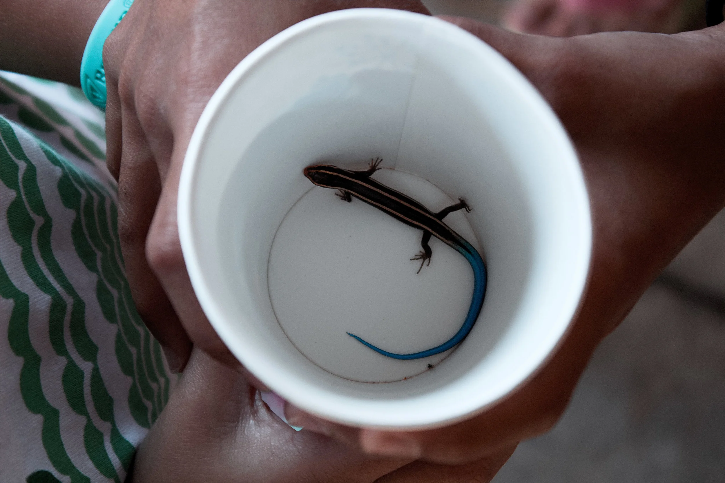 Deane Paulson Reunion 2016-7.jpg