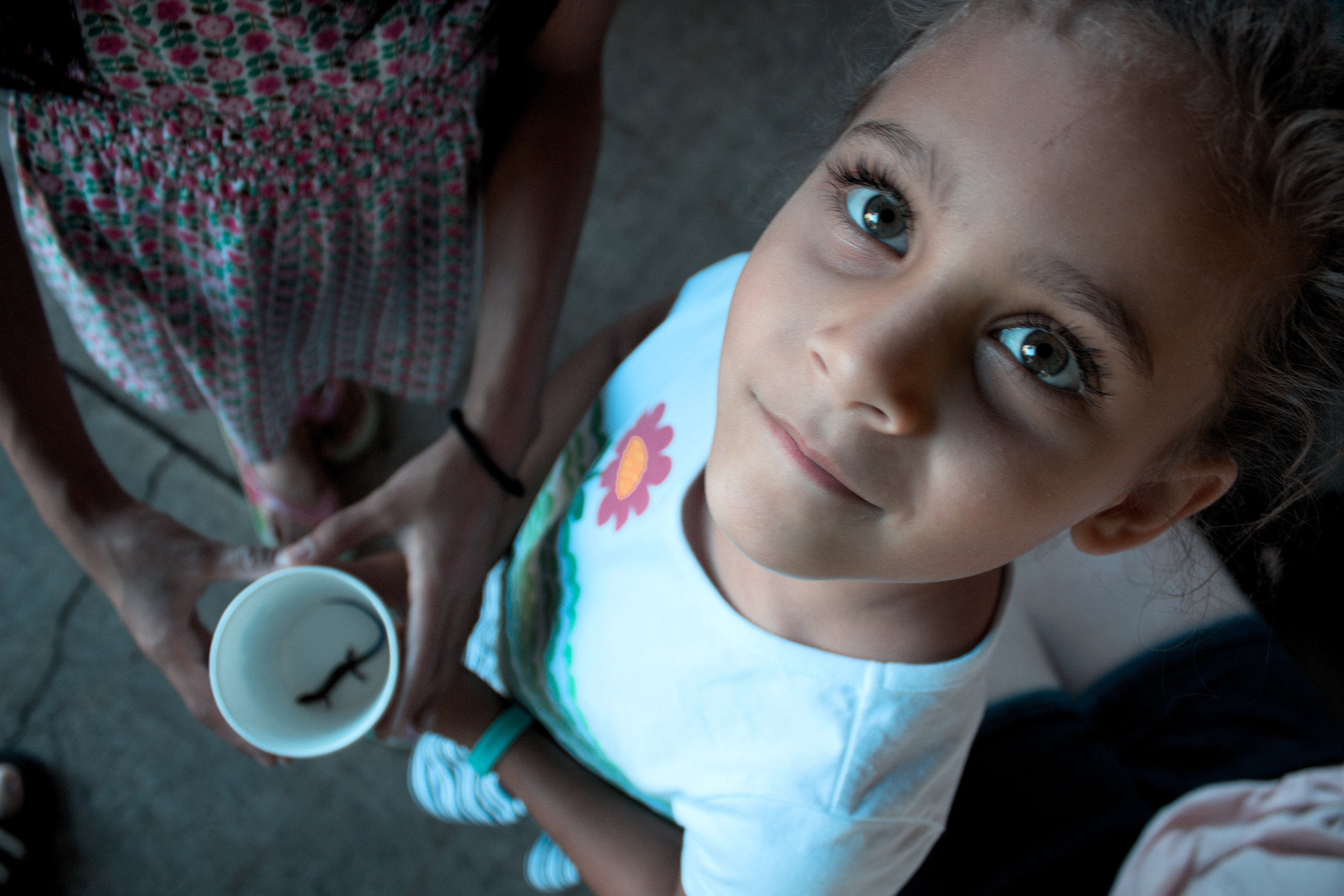 Deane Paulson Reunion 2016-8.jpg