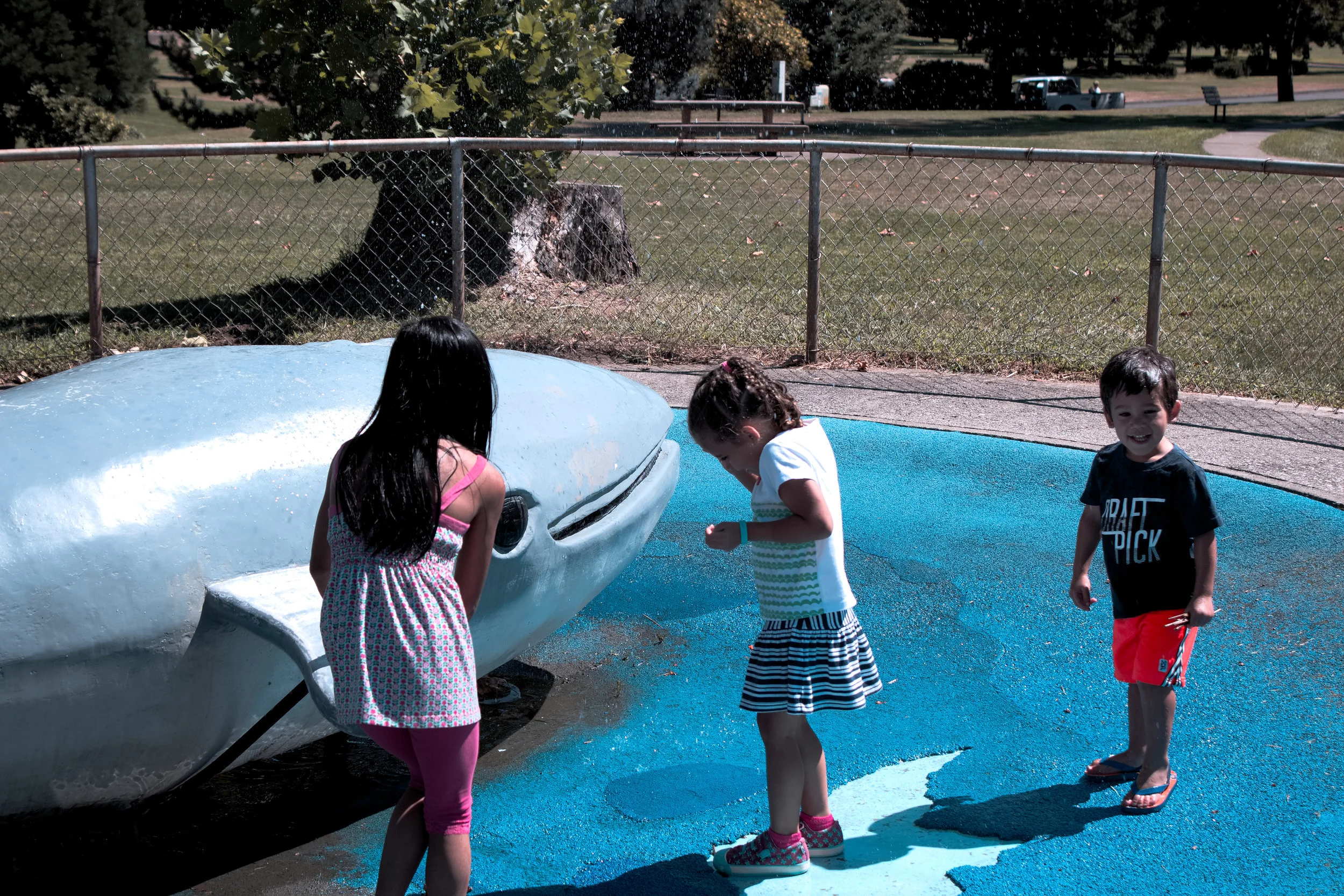 Deane Paulson Reunion 2016-17.jpg