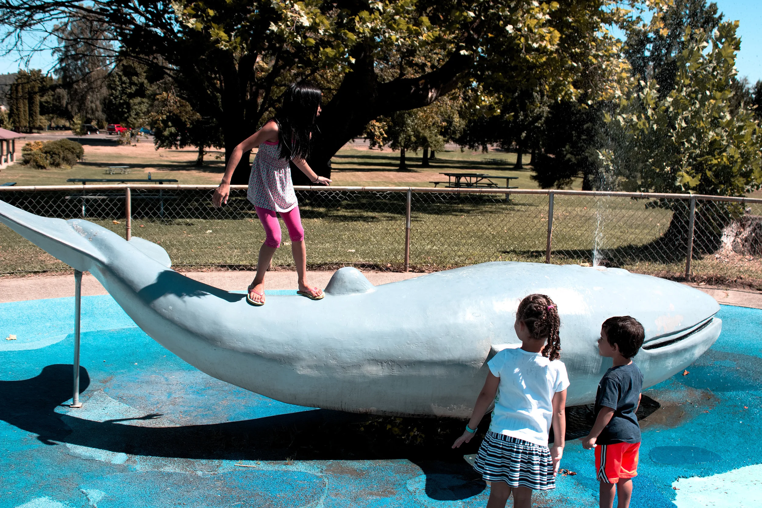 Deane Paulson Reunion 2016-18.jpg