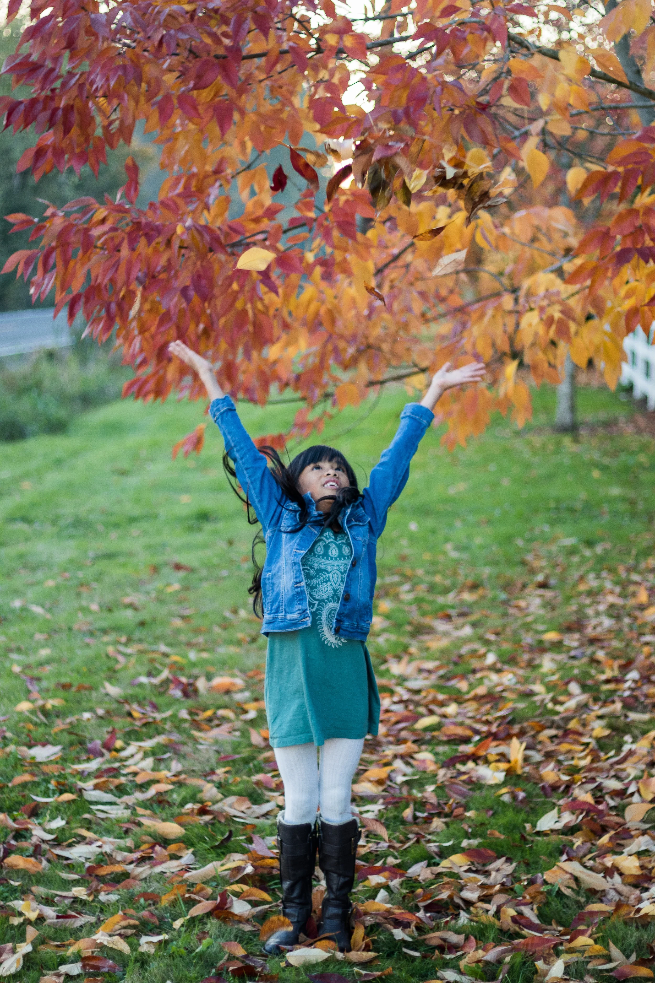 Fall Pictures-9.jpg