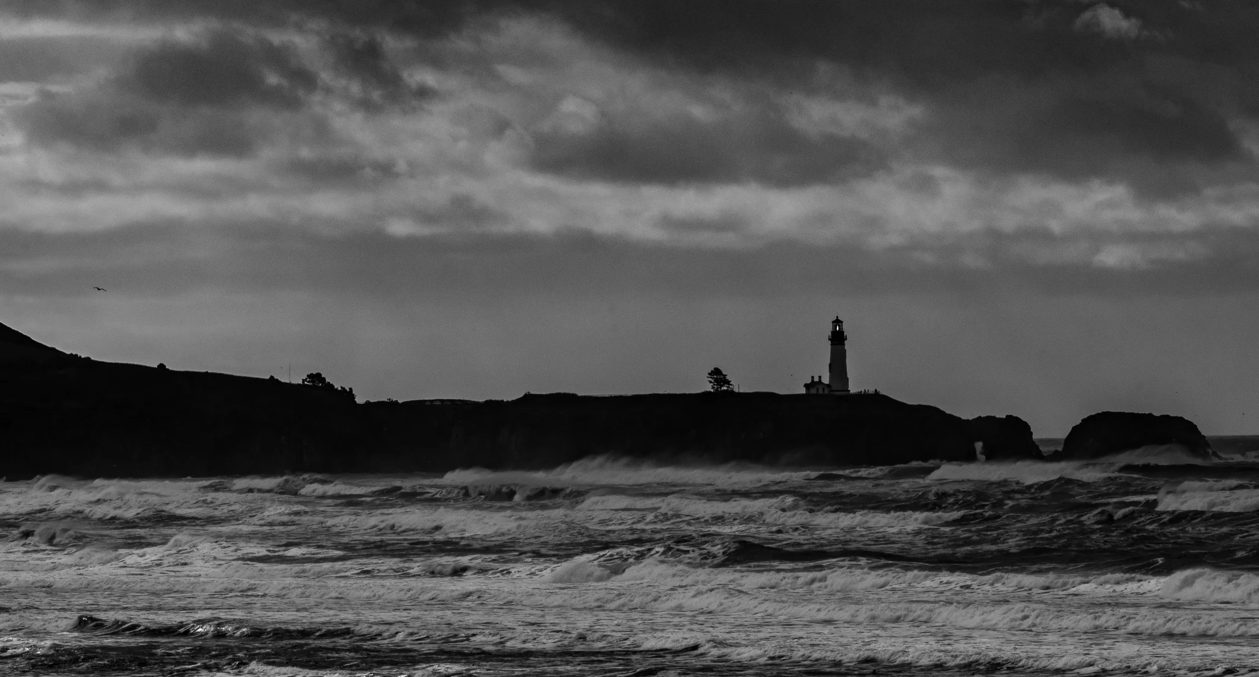 Beach Trip 11-18-2016-2.jpg