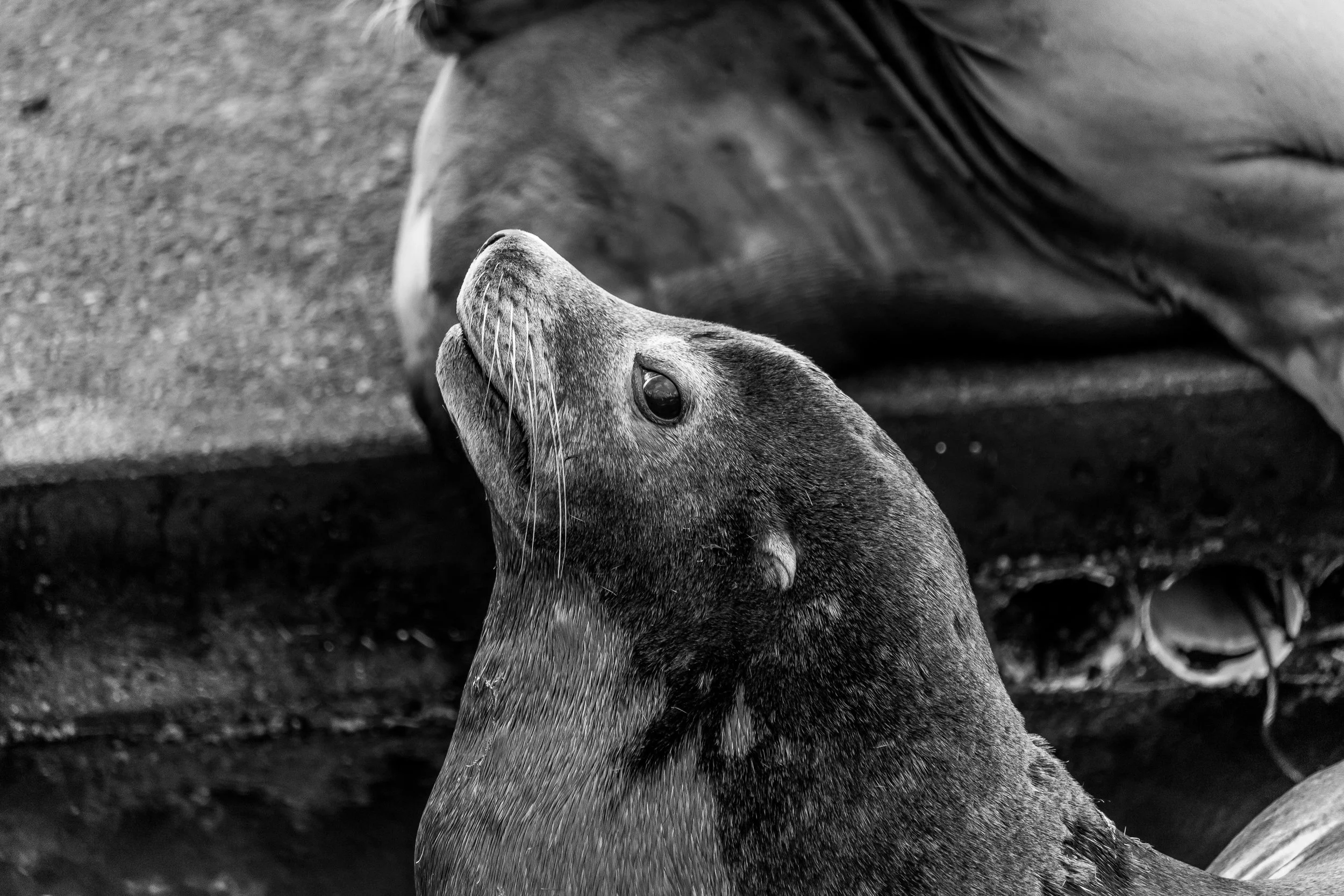 Beach Trip 11-18-2016-10.jpg