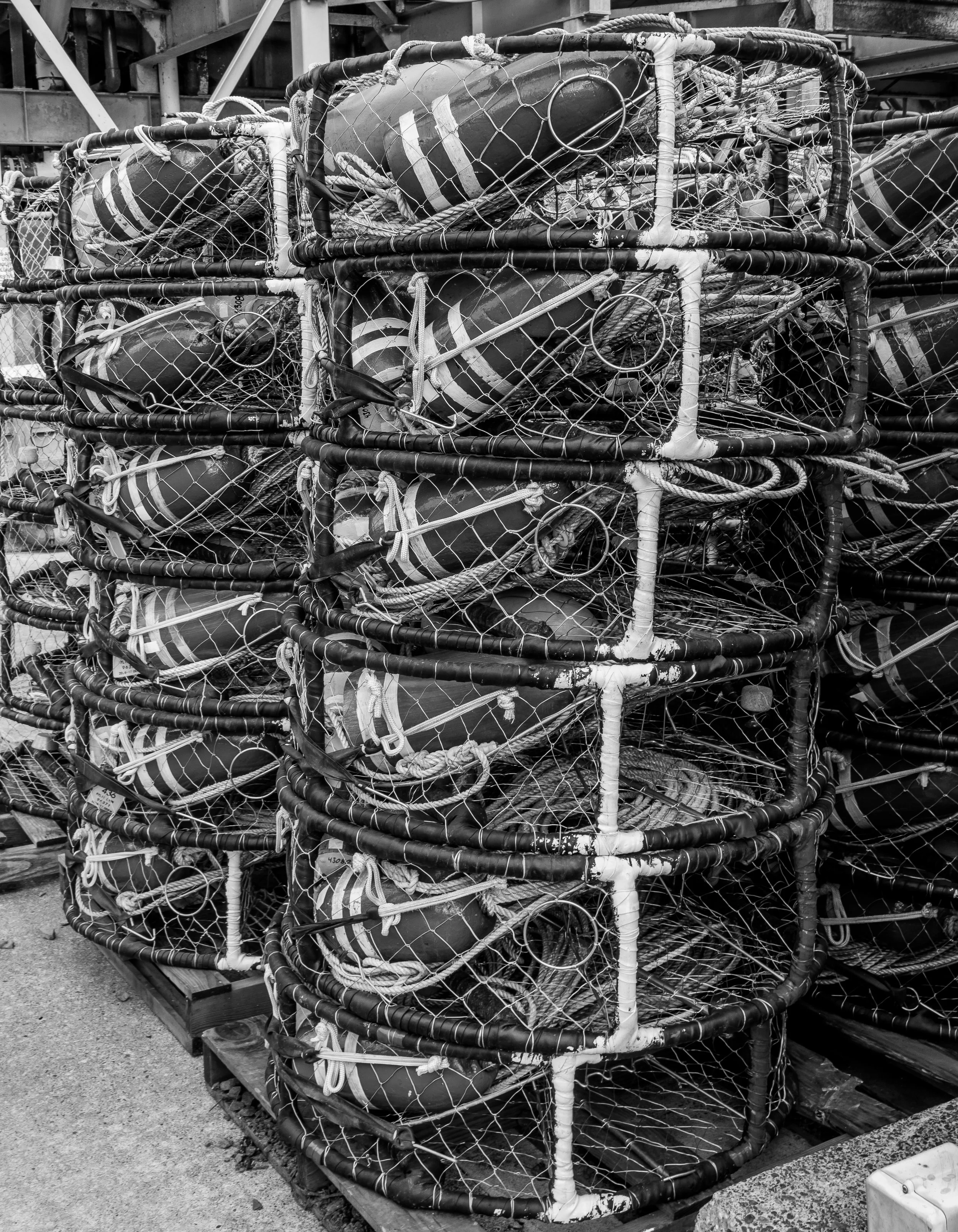 Beach Trip 11-18-2016-9.jpg