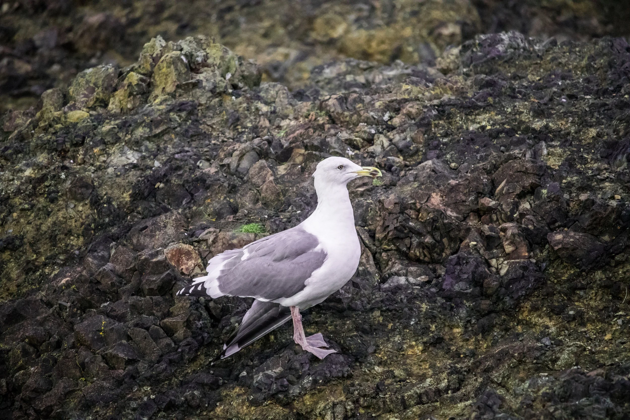 Developed Beach Trip 11-18-2016-23 - Copy.jpg