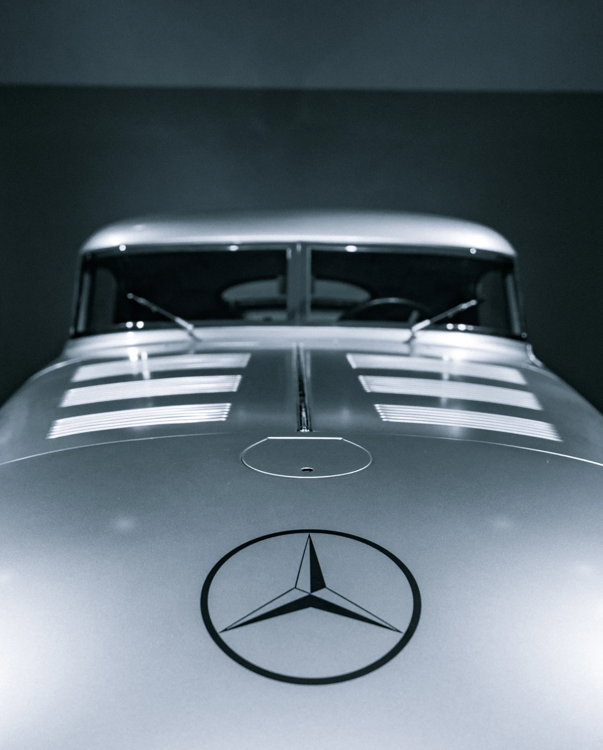 Shape of Speed-5.jpg