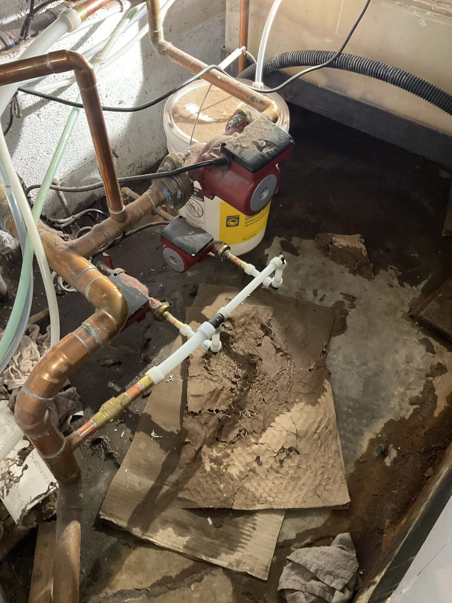 Professionally Repaired Pipe