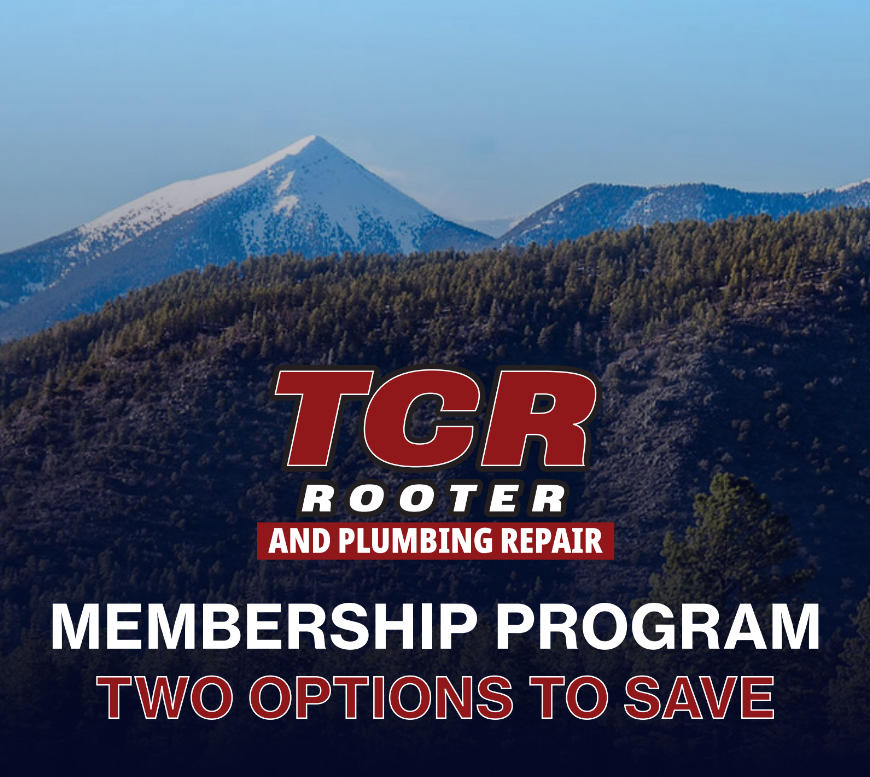 Is a TCR Membership Worth It? What's Included and Who It's For