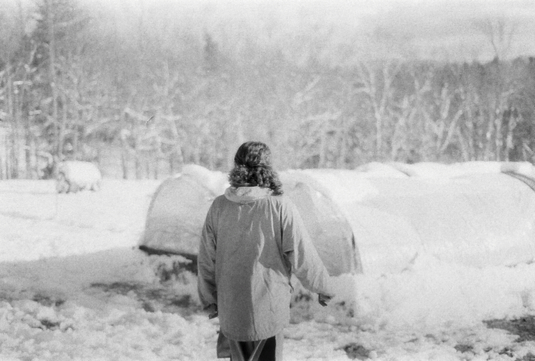 Leah Penniman at Soul Fire Farm. Photo by H Sultan.