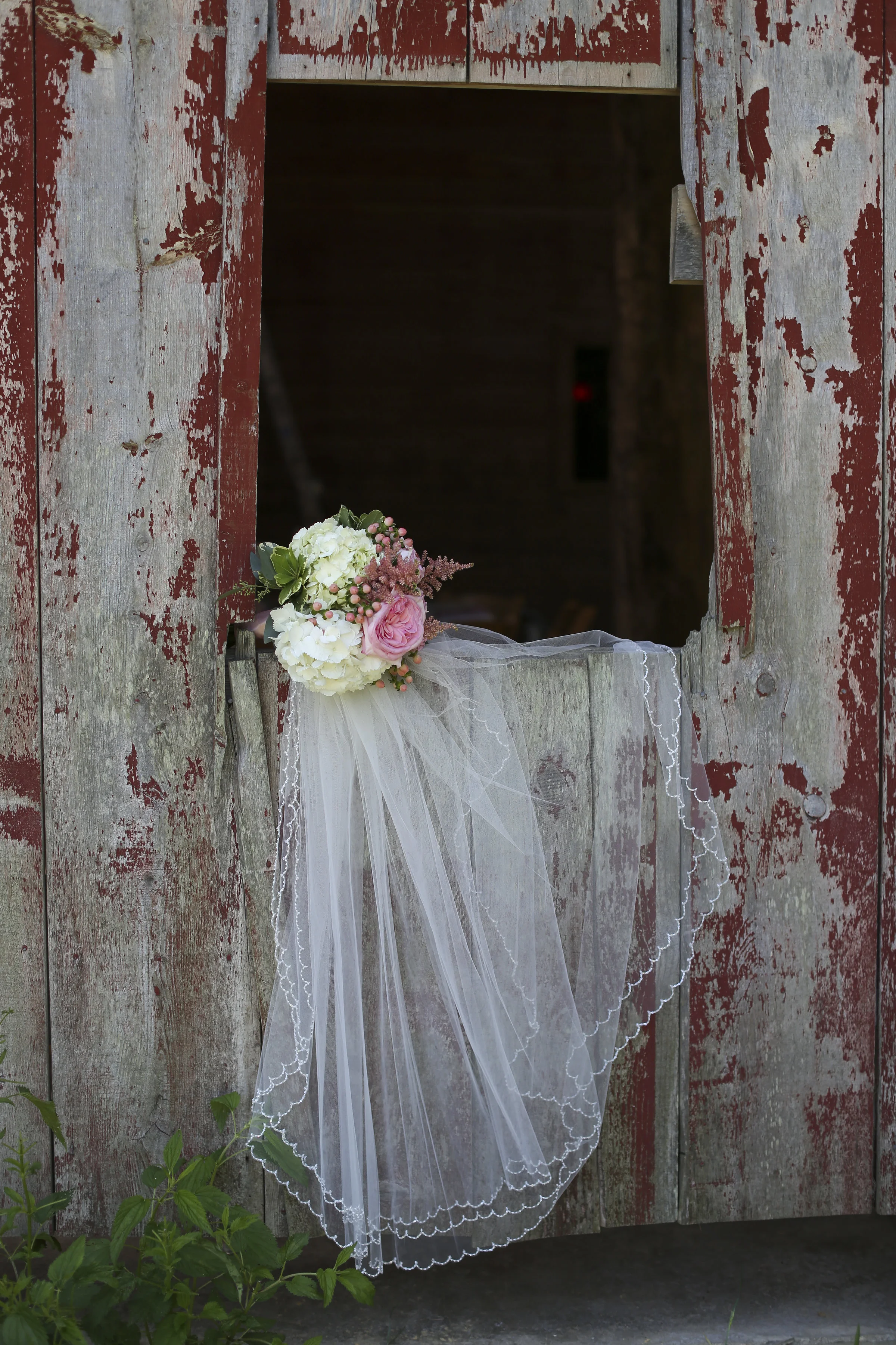 Darcy Holsopple Photography