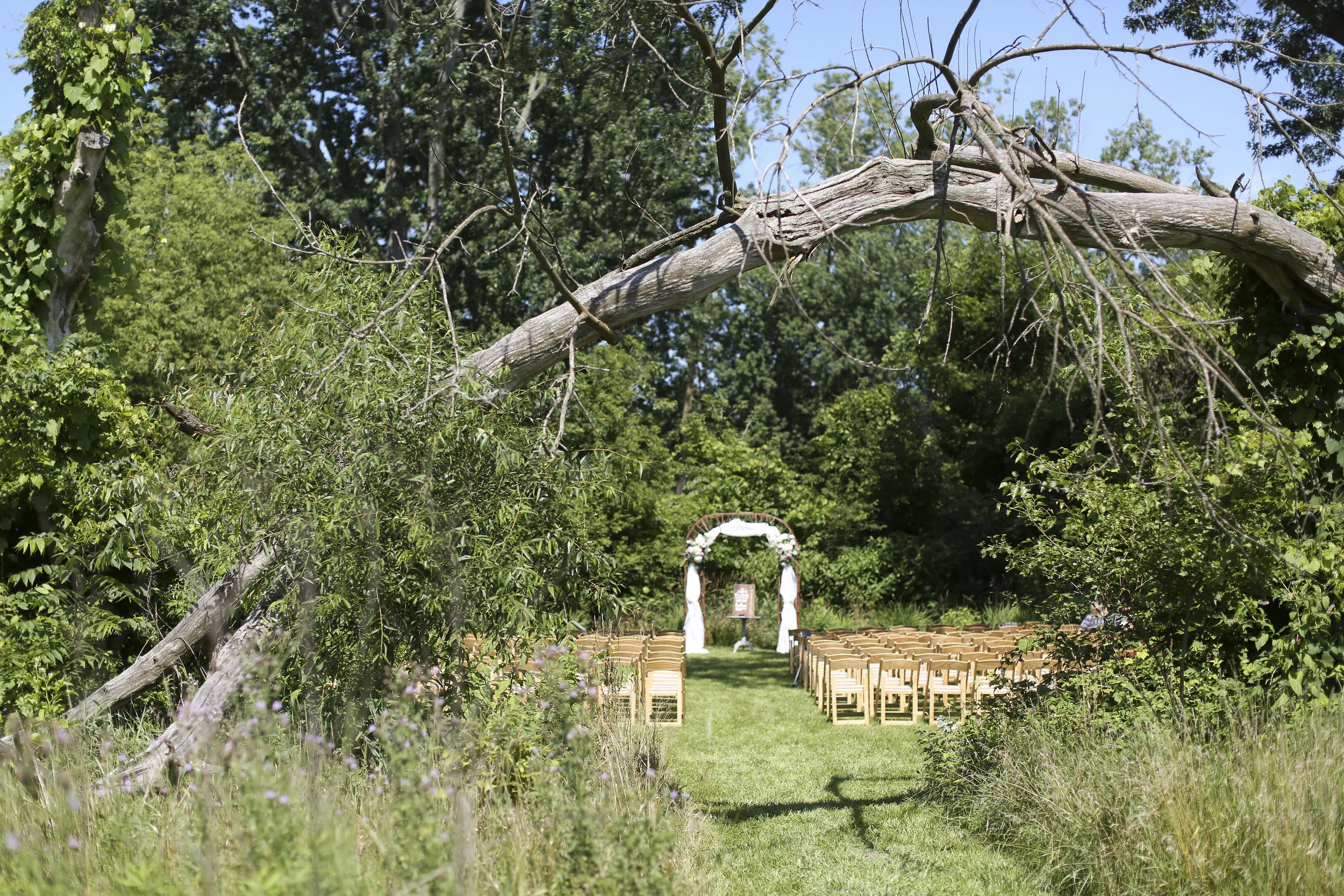 ceremony006.jpg