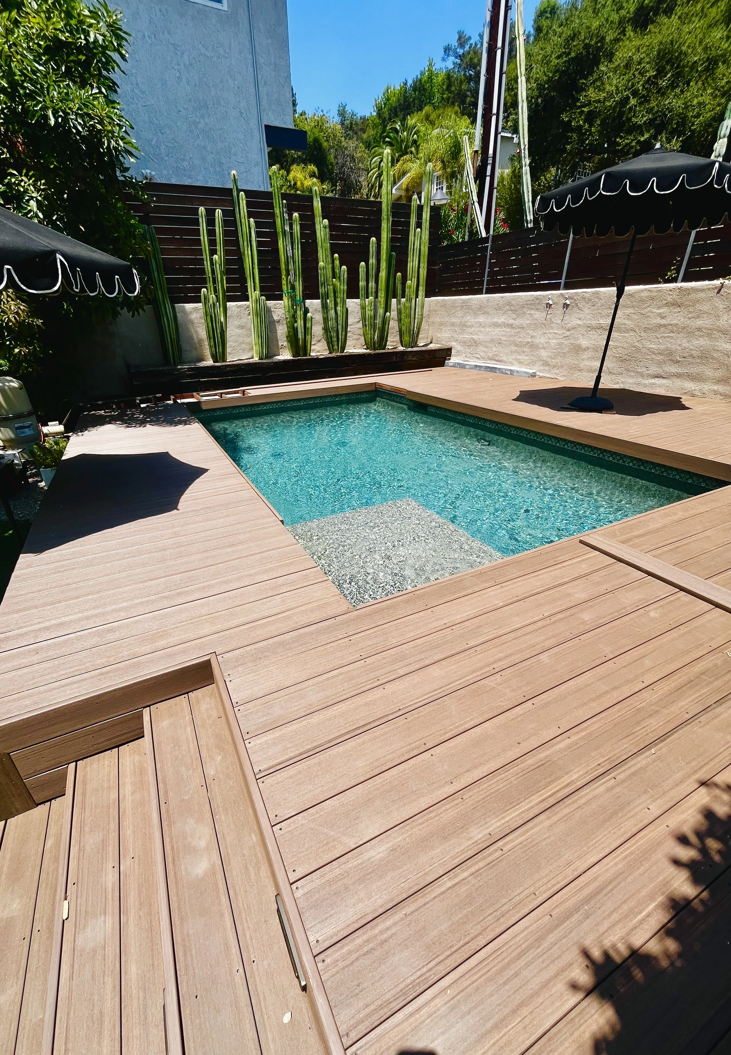Backyard swimming pool with a wooden deck, black umbrellas, tall cacti, and lush trees on a sunny day.