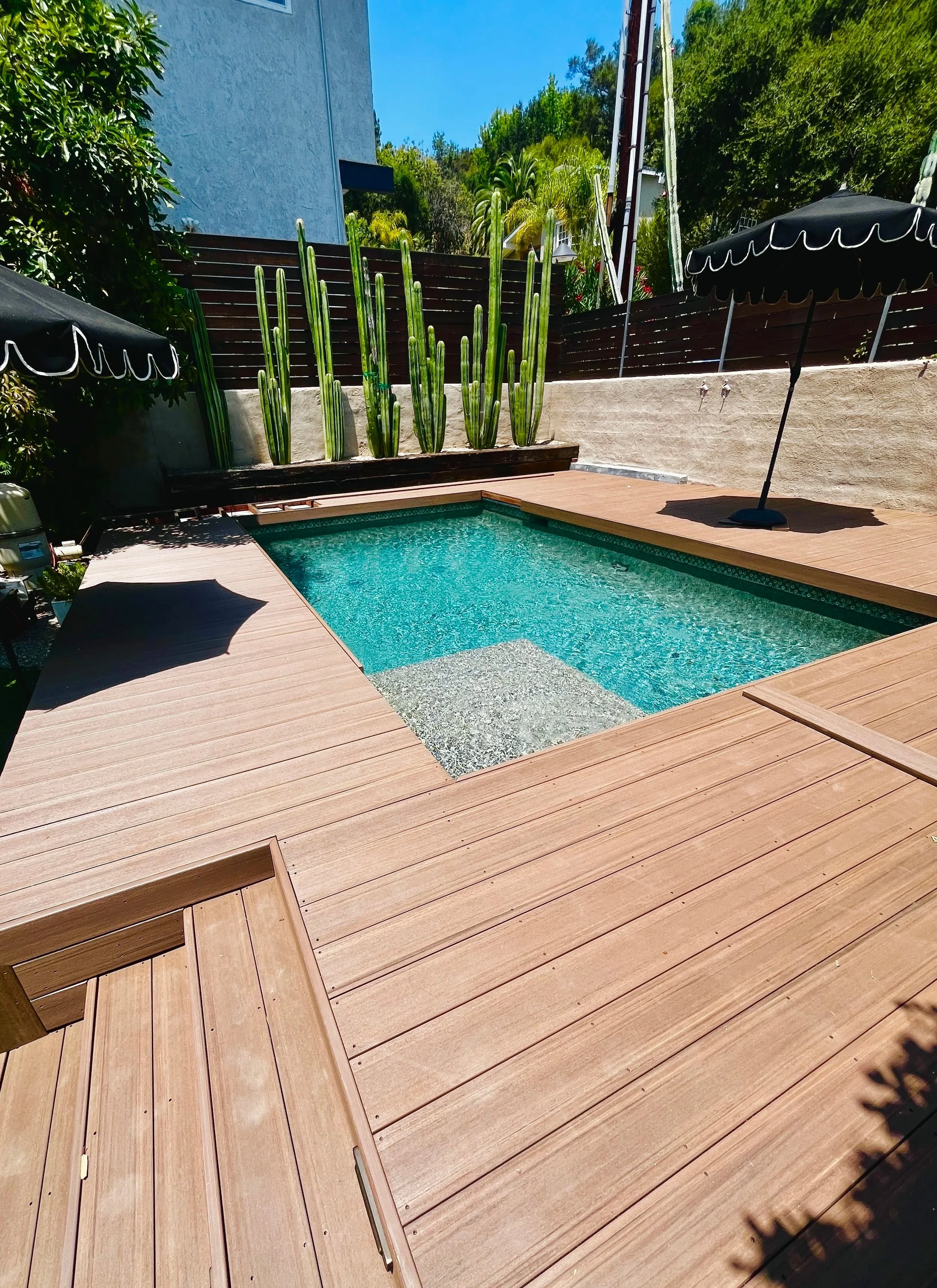 Backyard swimming pool with a wooden deck, black umbrellas, tall cacti, and lush trees on a sunny day.