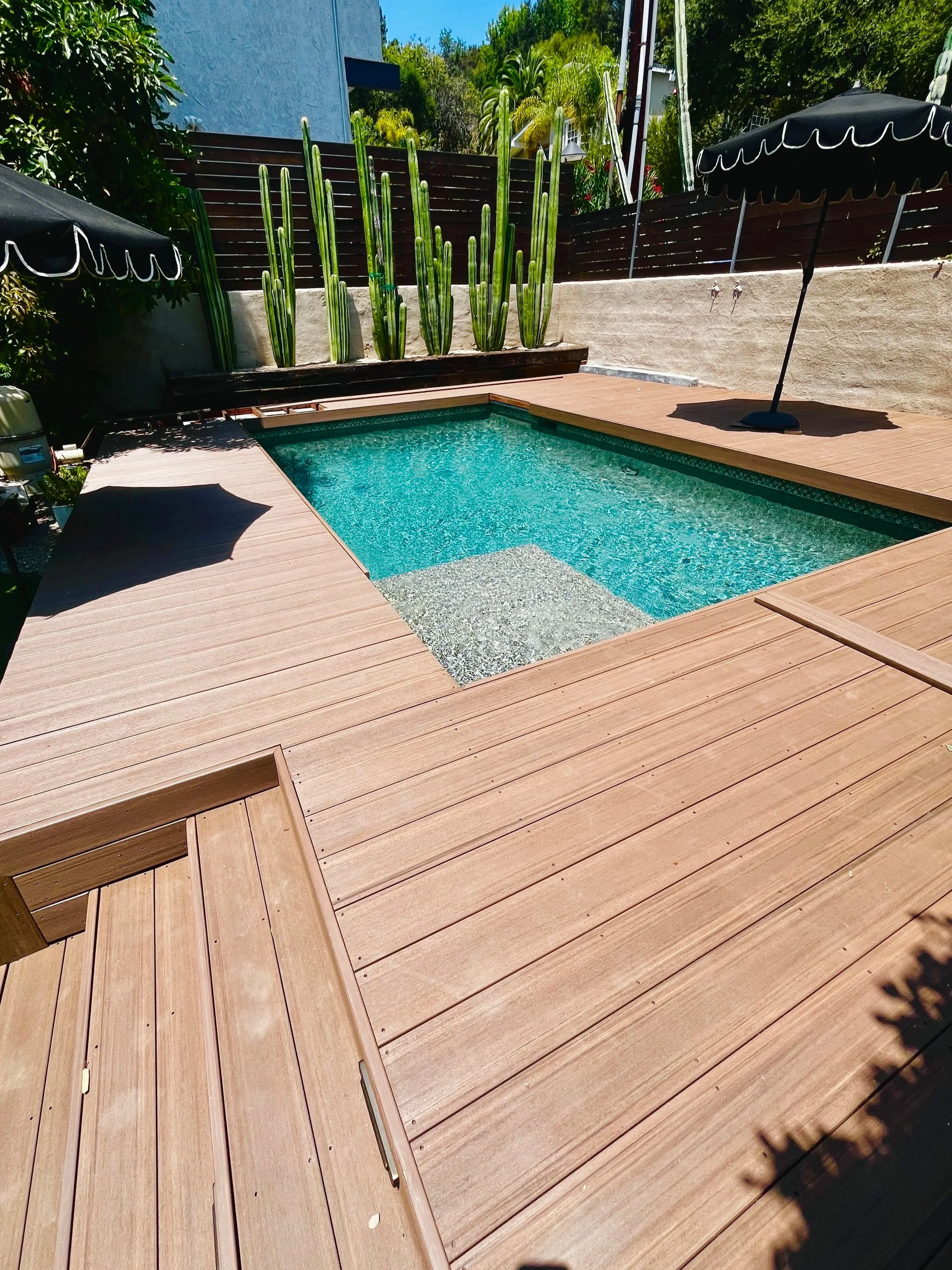 A backyard with a small rectangular pool surrounded by a wooden deck, two large black umbrellas, and tall cacti along the fence in the background under a clear blue sky.