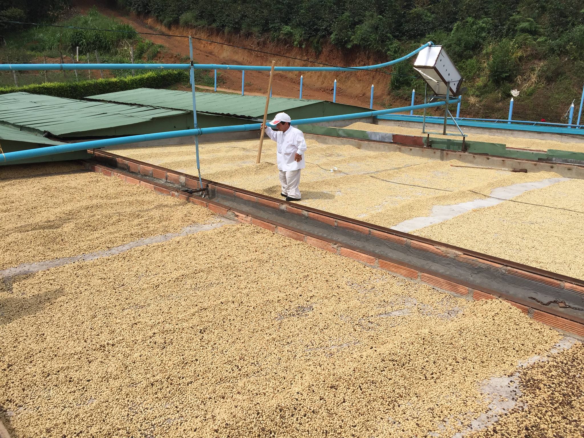 Rooftop drying at El Zafira