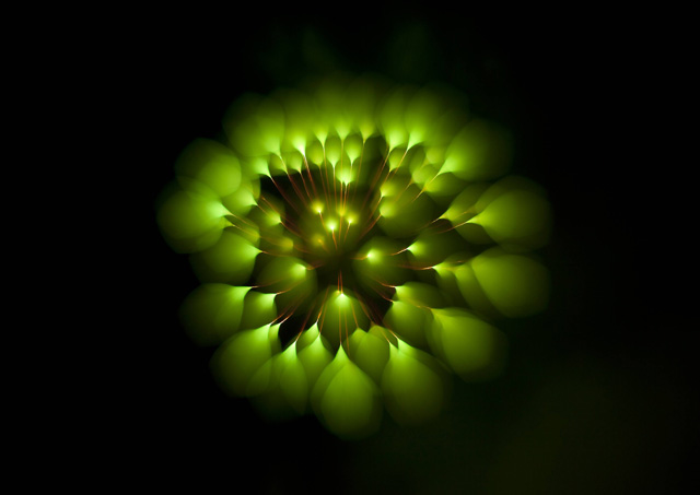 Long-Exposure-Firework3.jpg