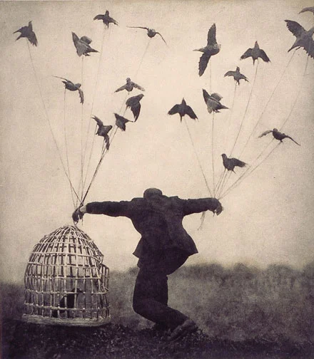 Trying-to-Fly.jpg